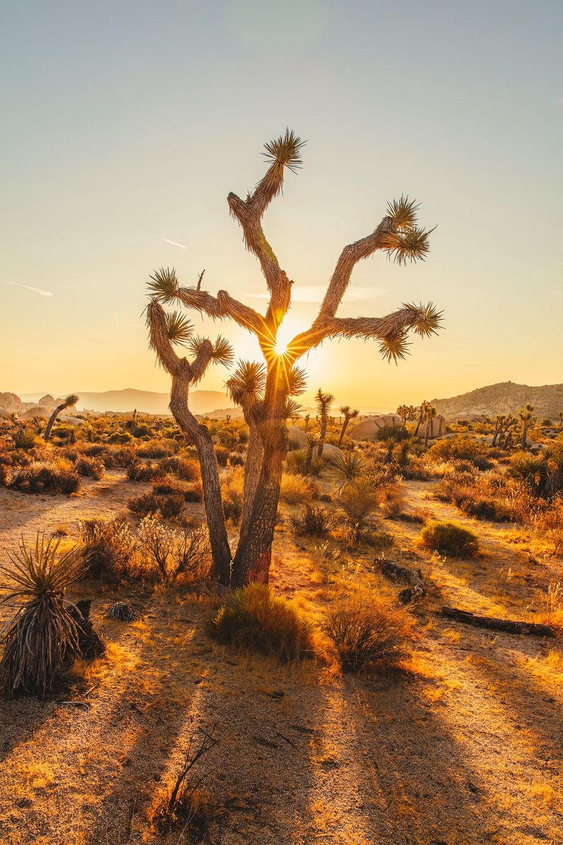 Sunset In Volcano Desert Wallpapers