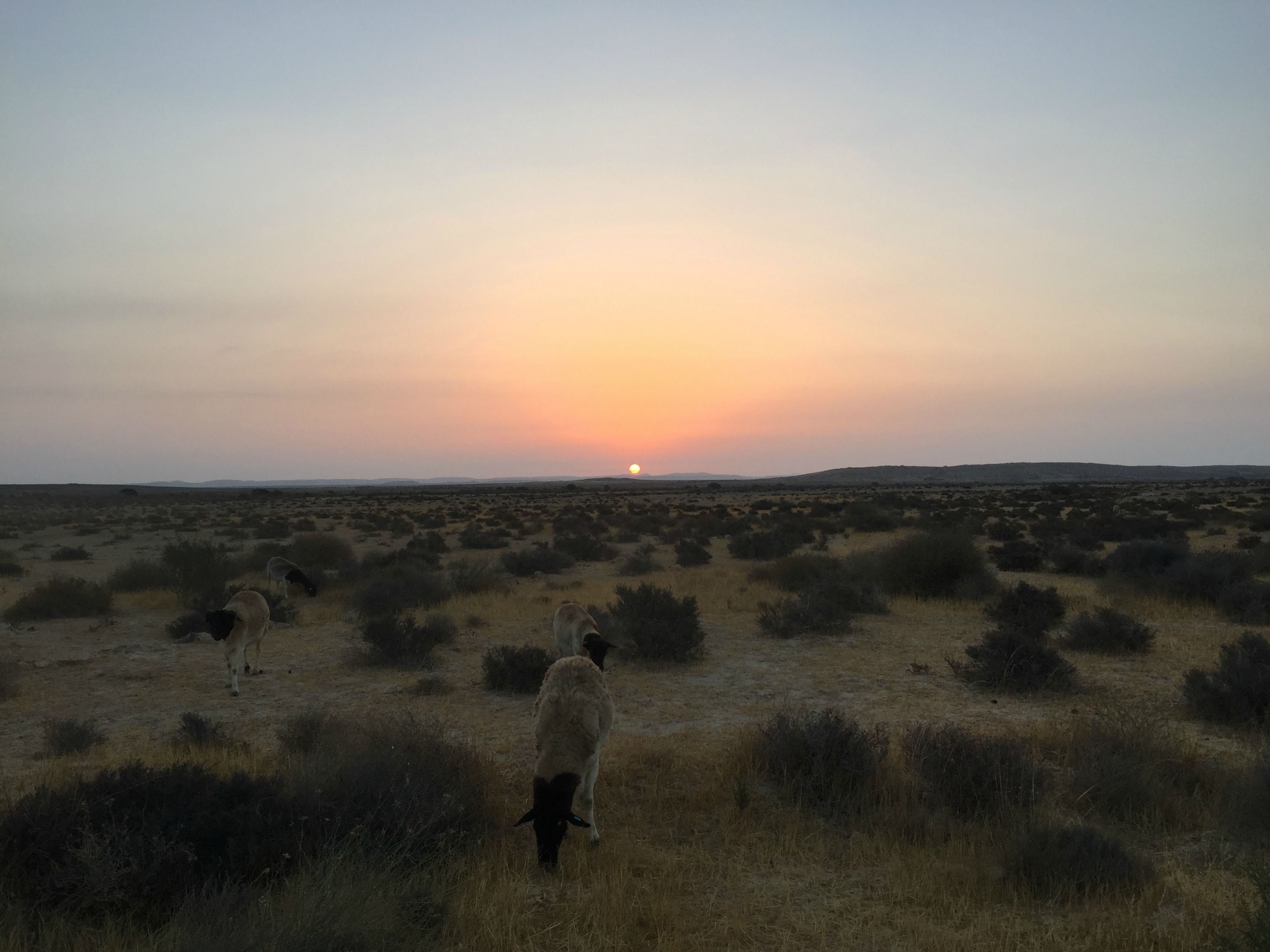 Sunset In Volcano Desert Wallpapers