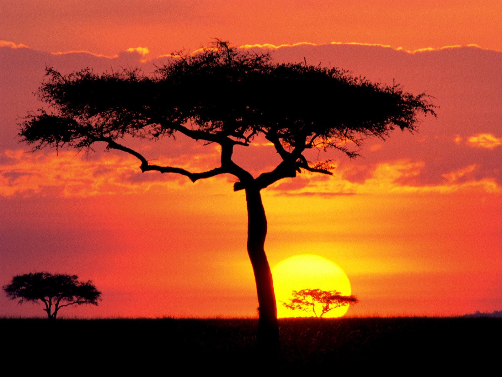 Sunset Nature Trees Wallpapers