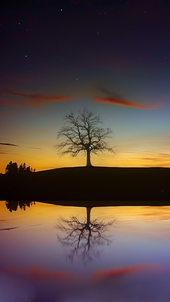 Sunset Nature Trees Wallpapers