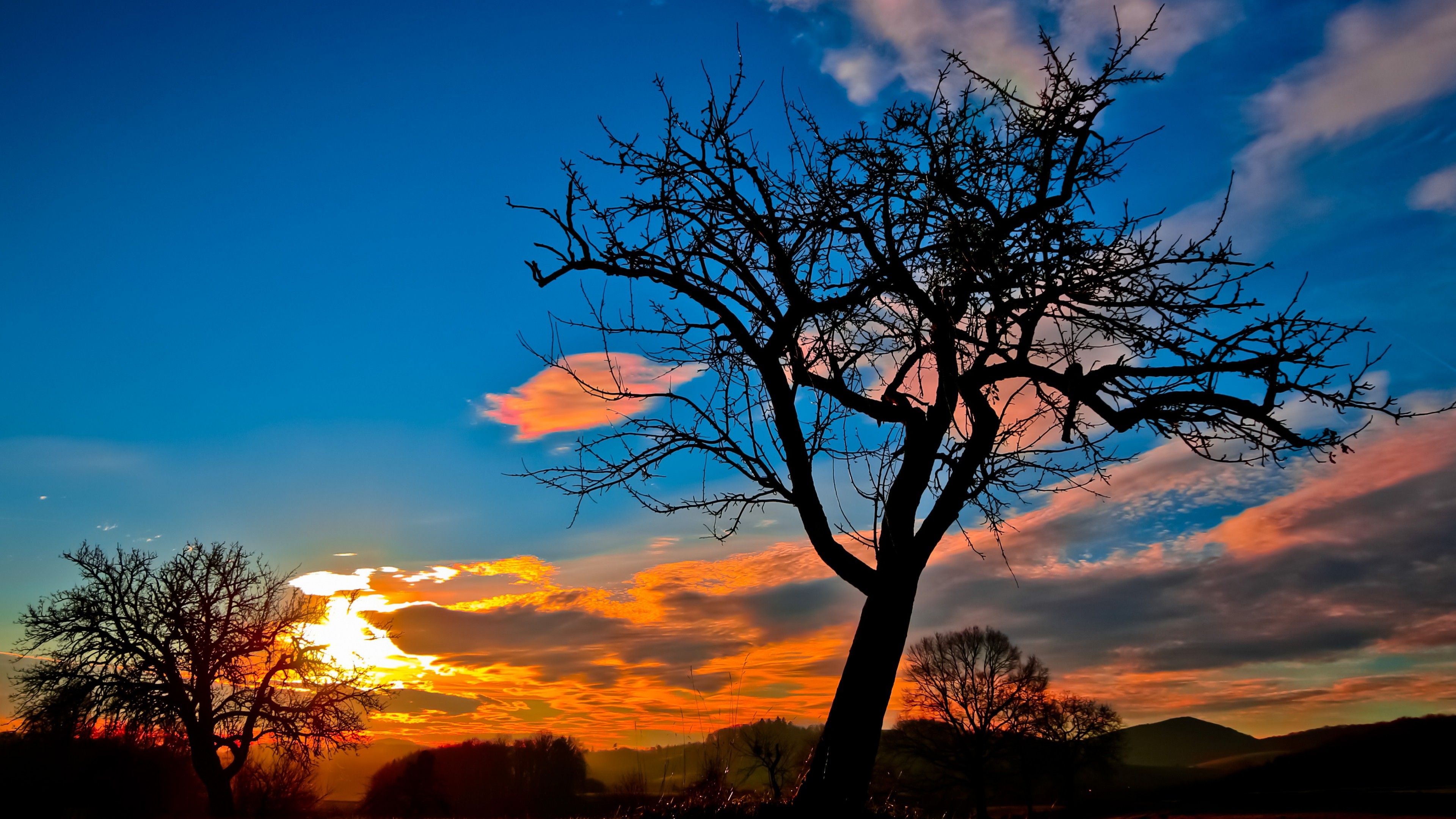 Sunset Nature Trees Wallpapers