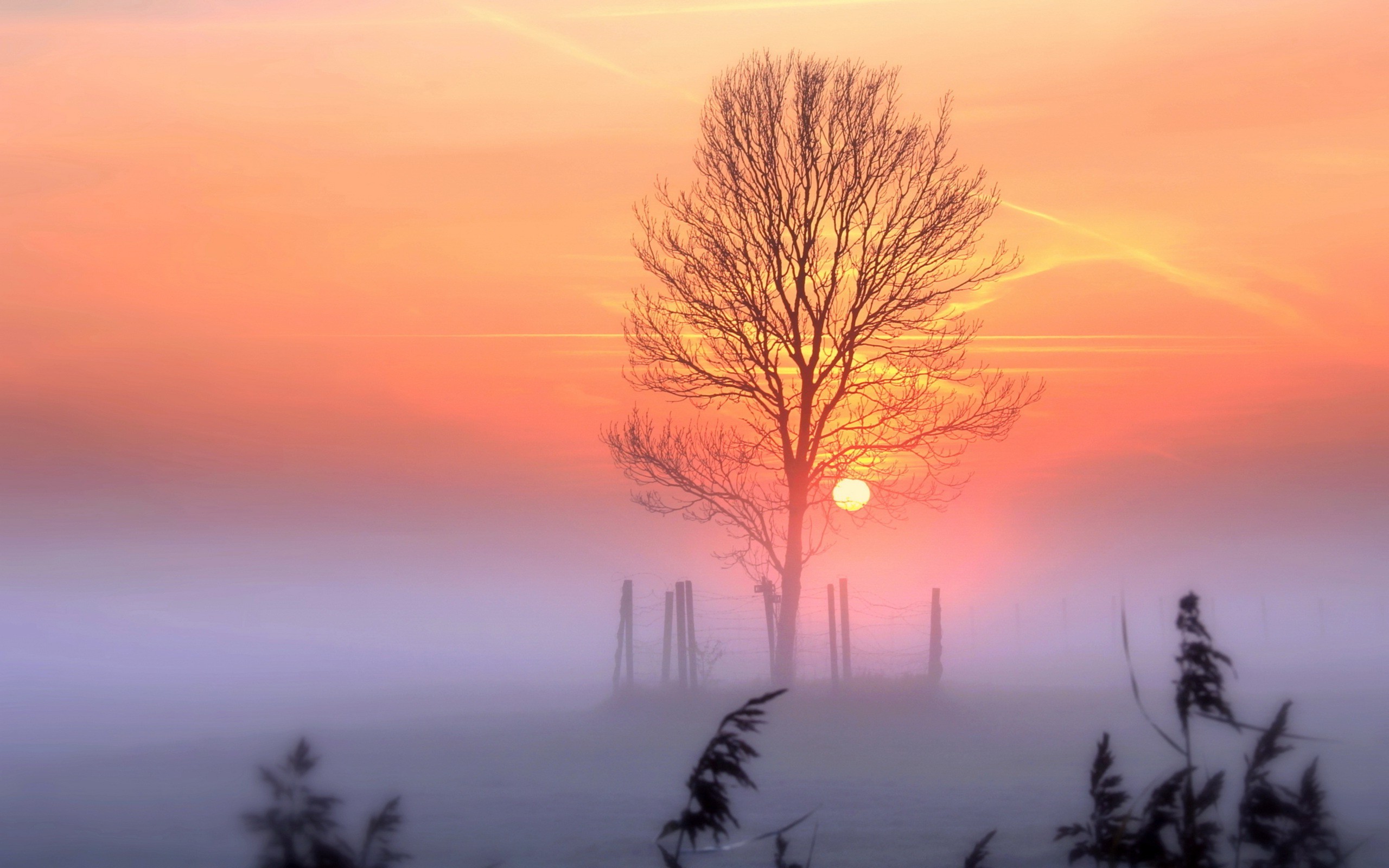 Sunset Nature Trees Wallpapers