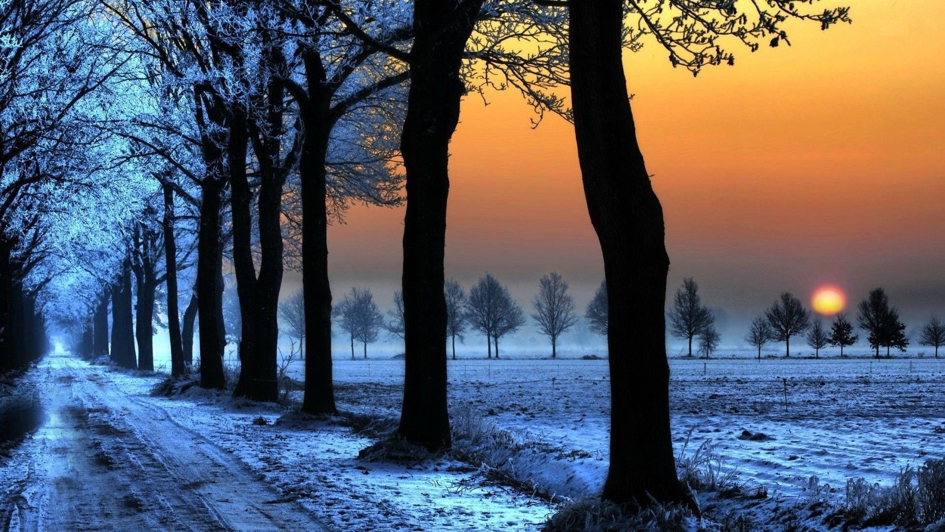 Sunset Nature Trees Wallpapers