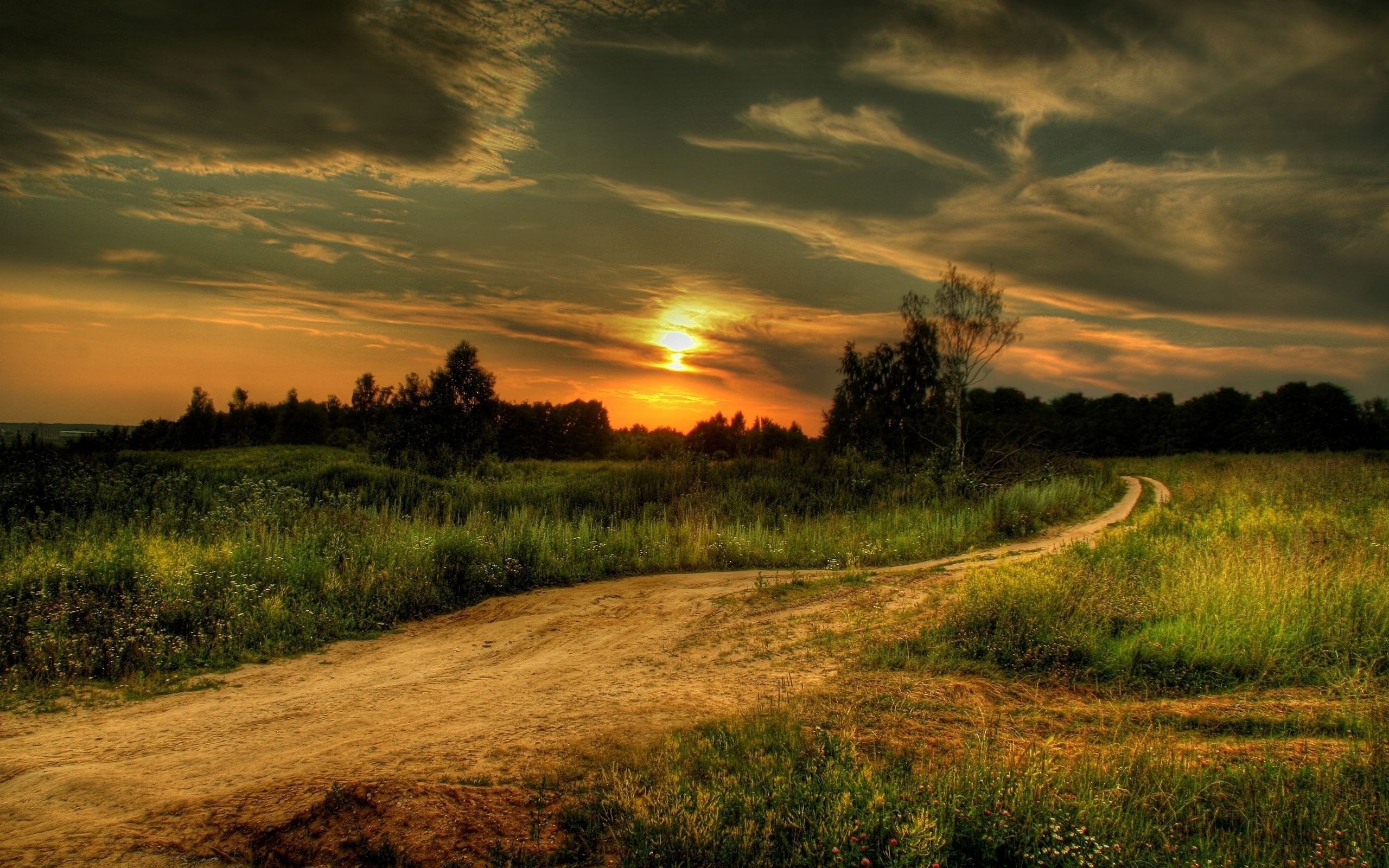 Sunset Over Field Wallpapers