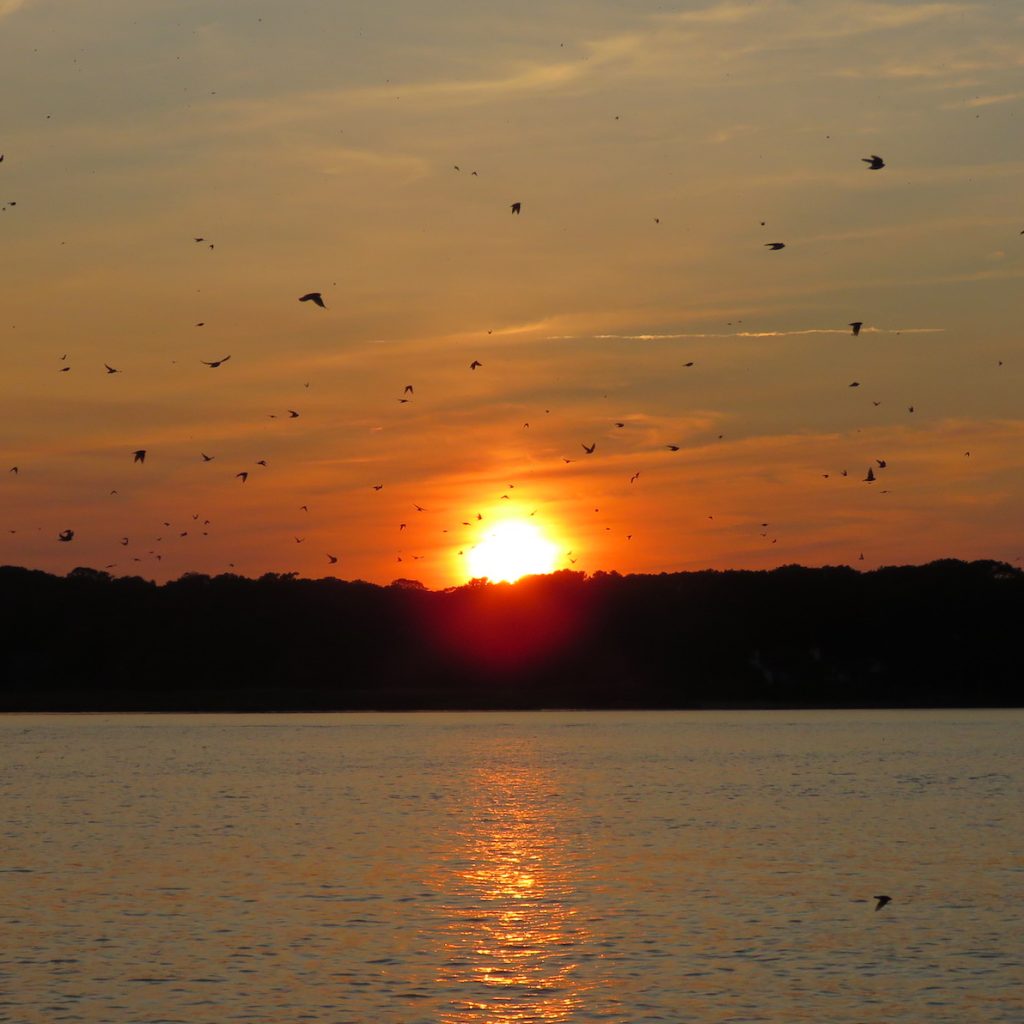 Sunset Over River In The Evening Wallpapers