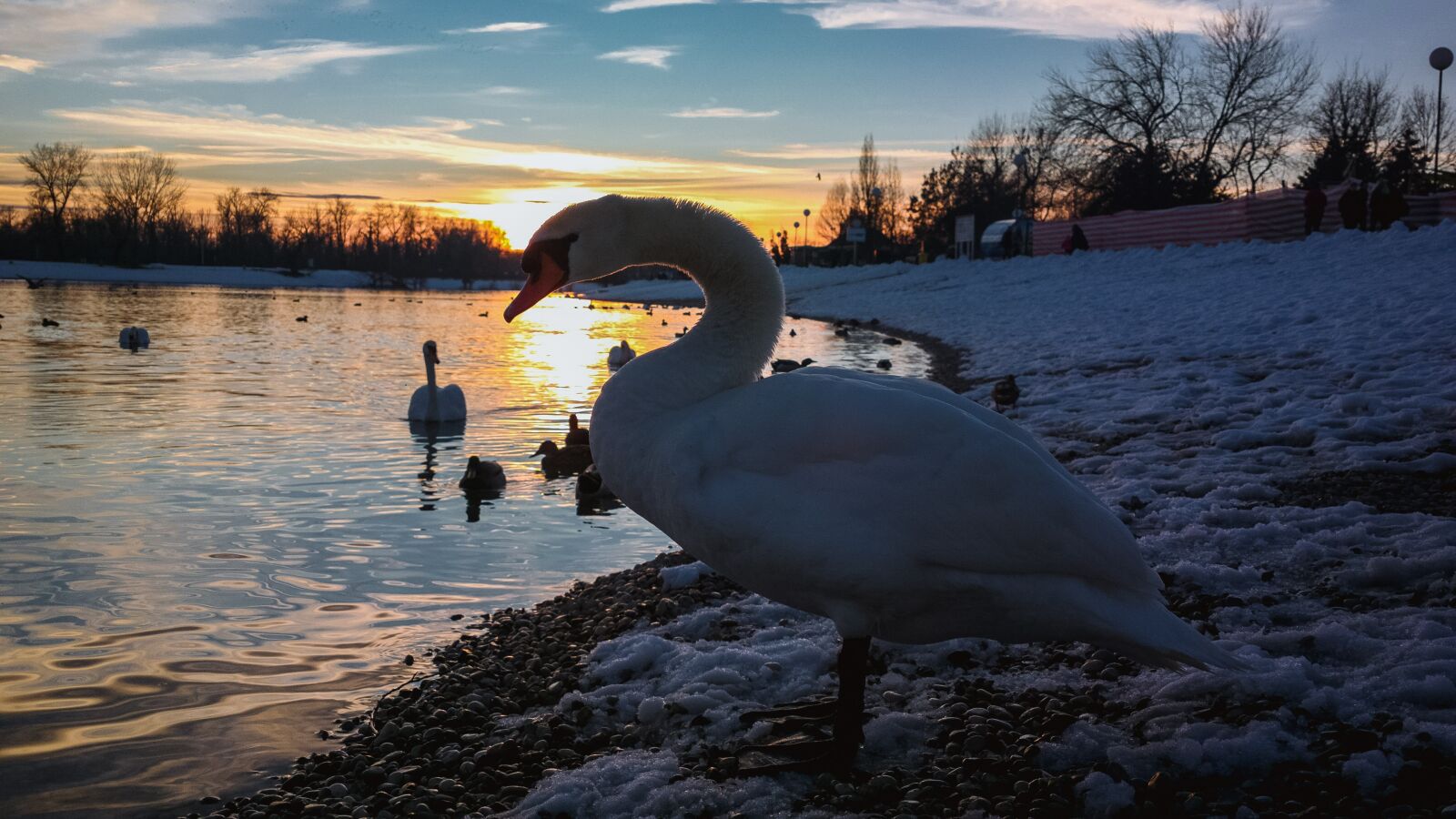 Sunset Pureview Wallpapers