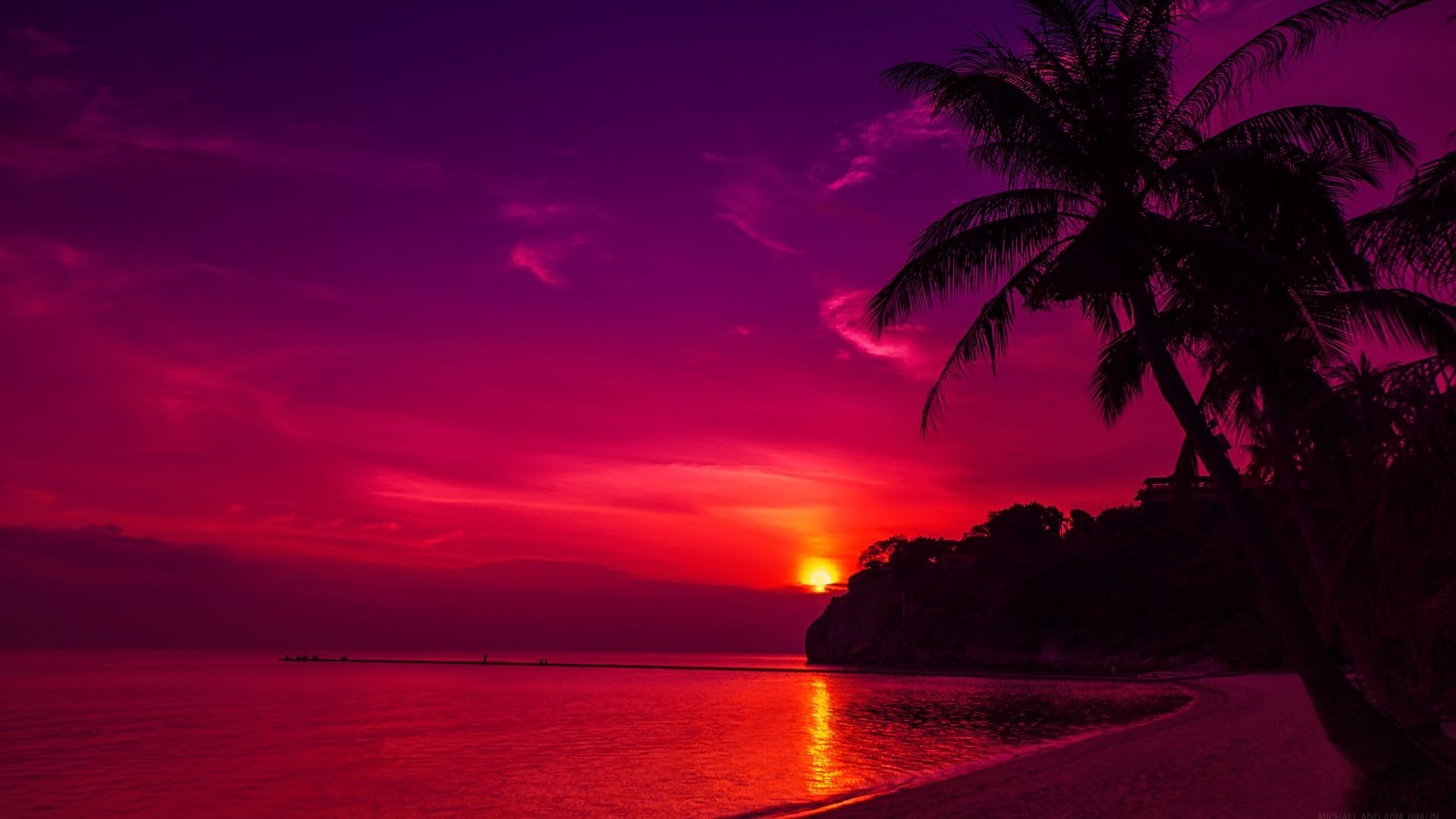 Sunset Tree Red Ocean And Sky Wallpapers