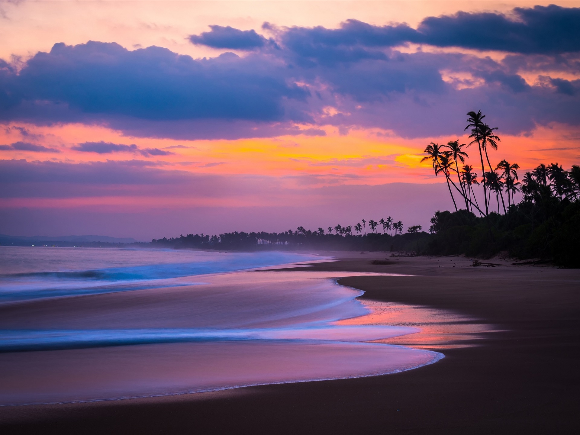 Sunset Tree Red Ocean And Sky Wallpapers