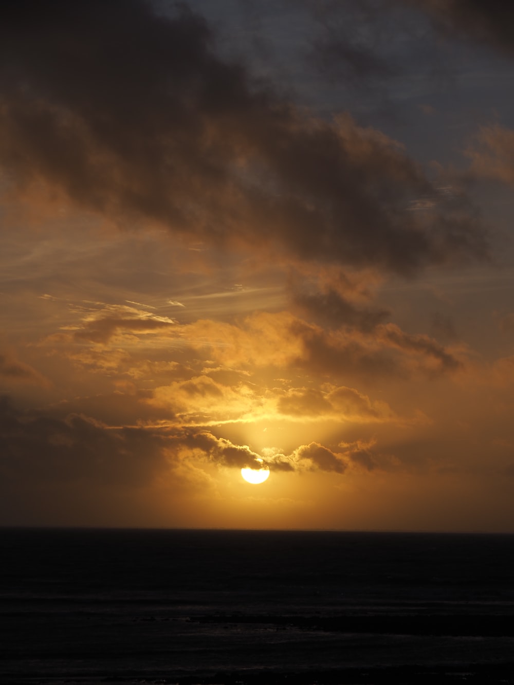 Sunset Tree Red Ocean And Sky Wallpapers