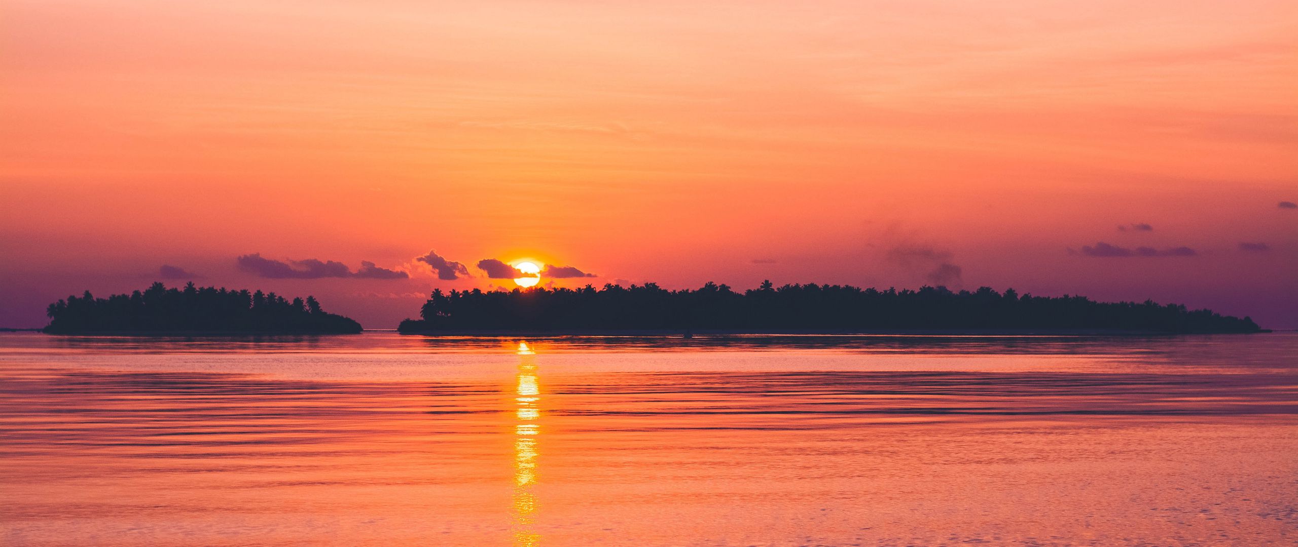 Sunset Tree Red Ocean And Sky Wallpapers