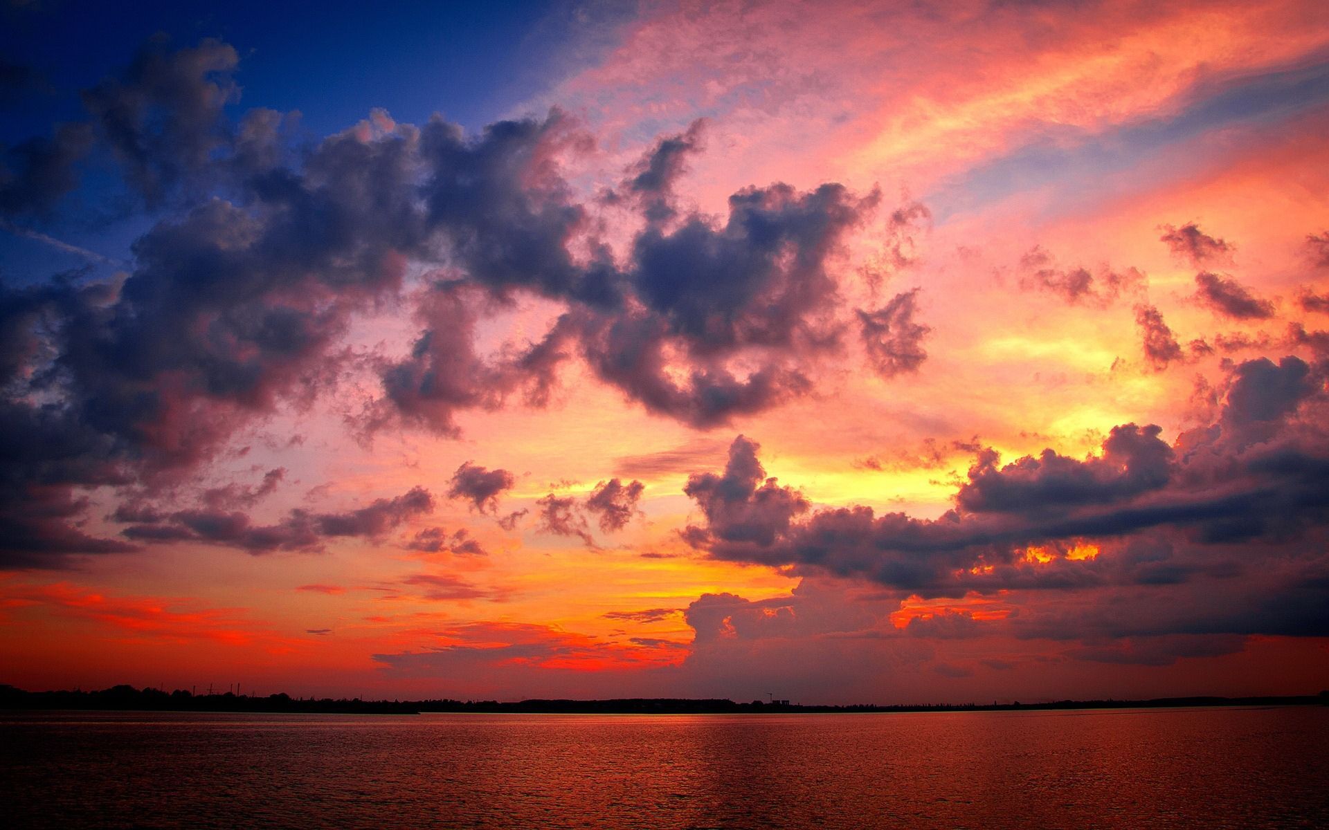 Sunset Tree Red Ocean And Sky Wallpapers