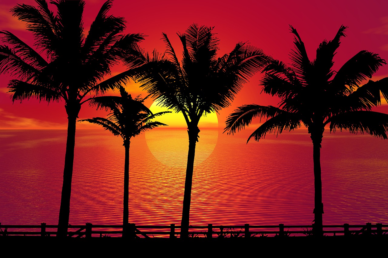 Sunset Tree Red Ocean And Sky Wallpapers