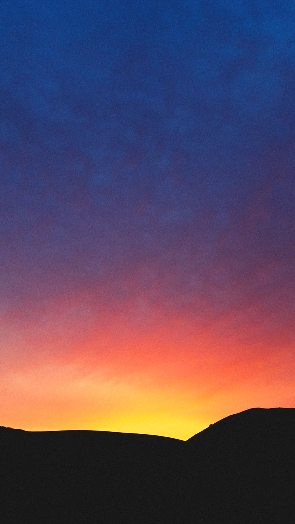 Sunset Tree Red Ocean And Sky Wallpapers