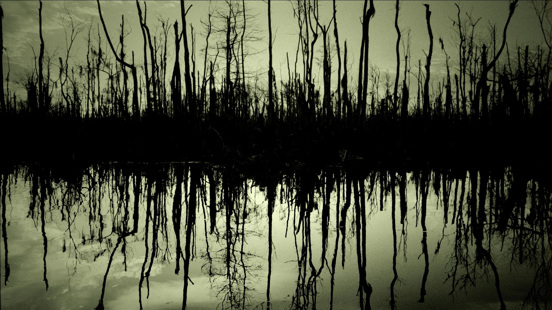 Swamp Wallpapers