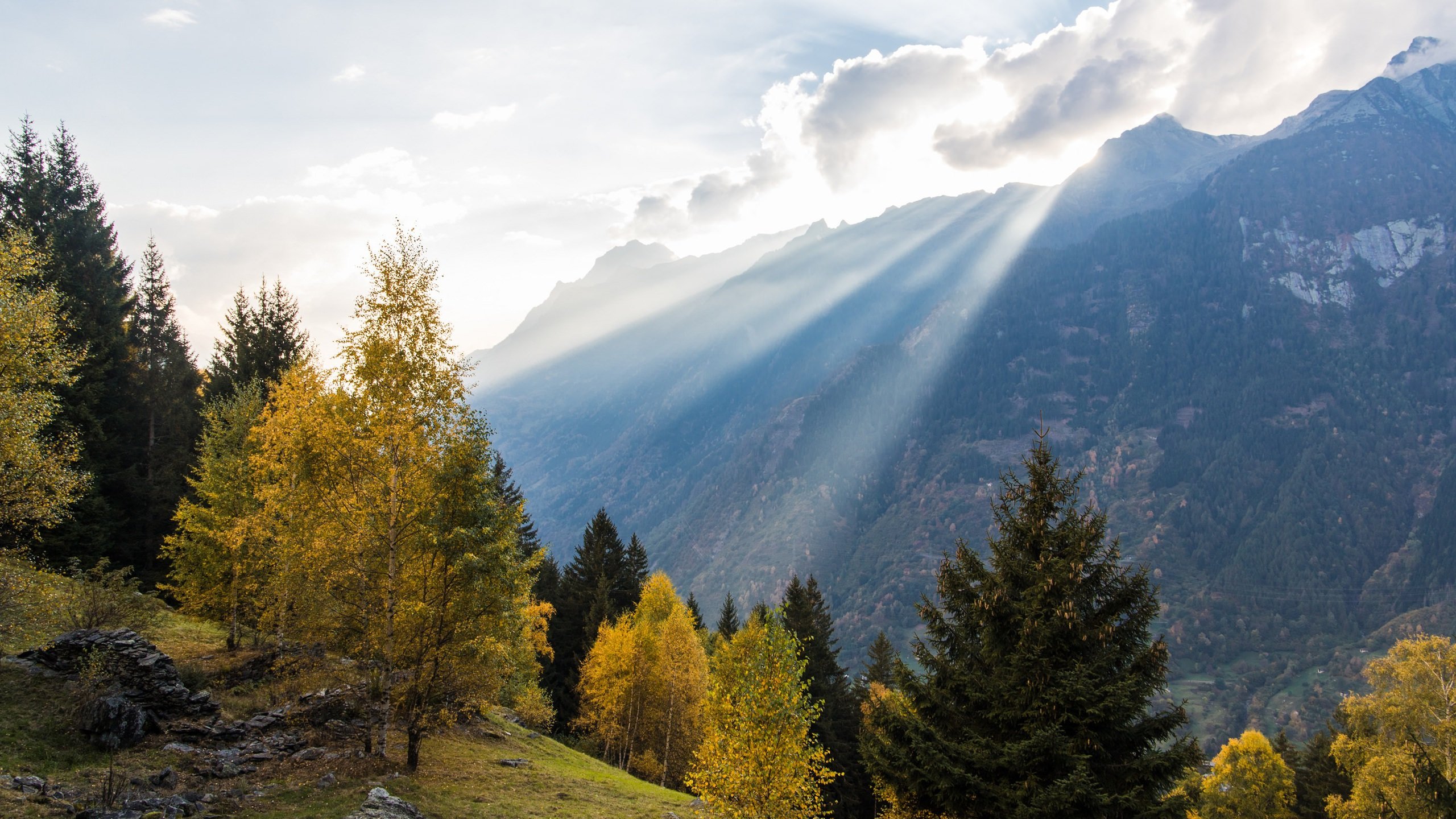 Swiss Alps Wallpapers