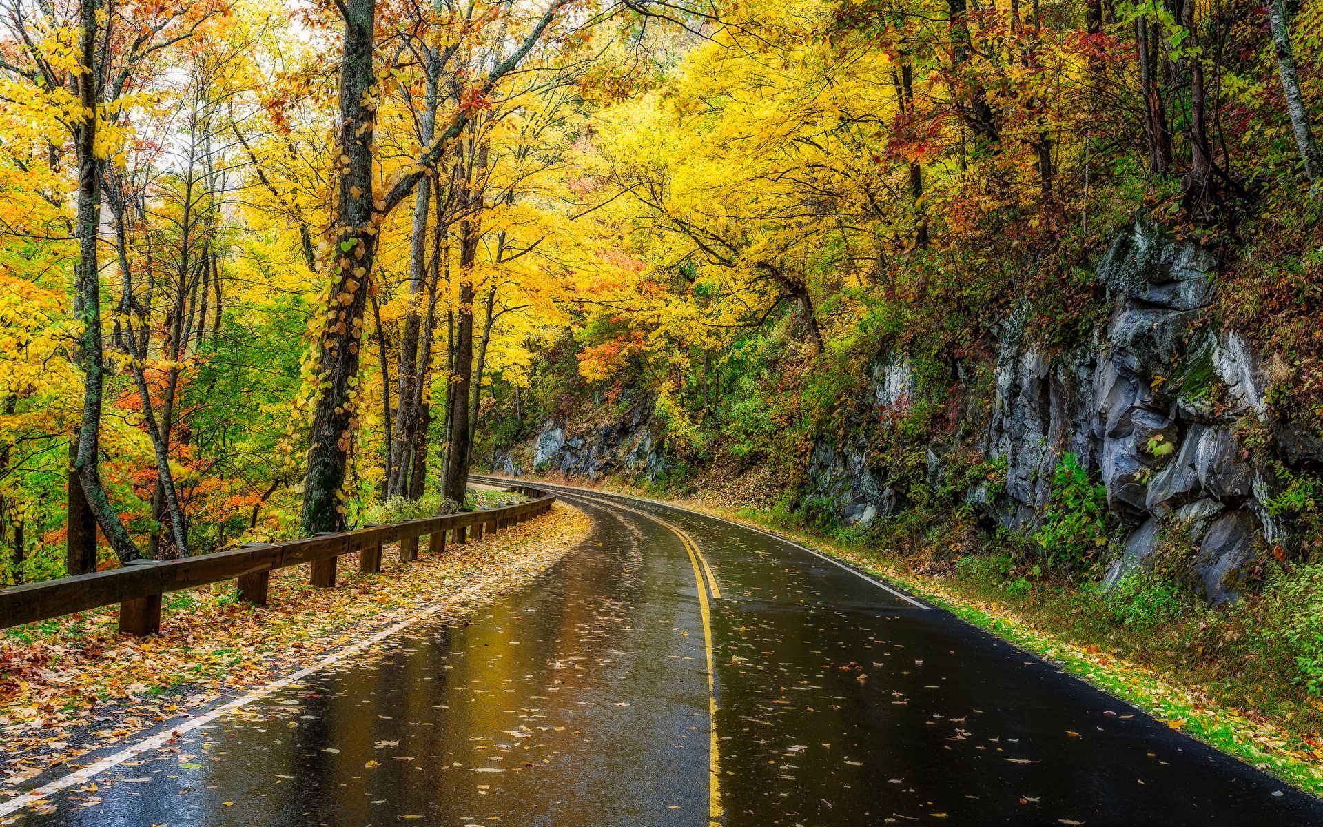 Tennessee Road Wallpapers
