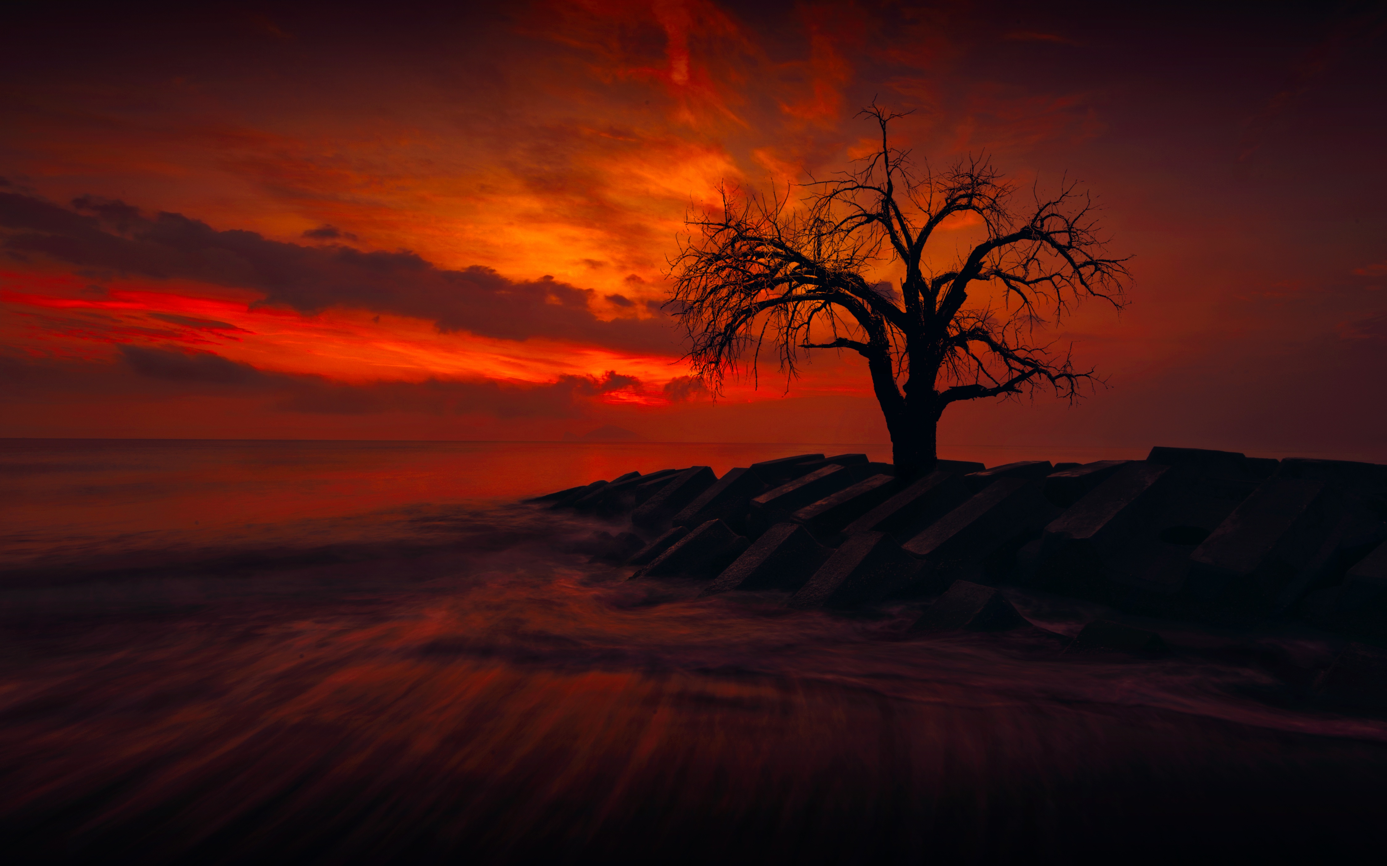 The Lonely Tree Wallpapers