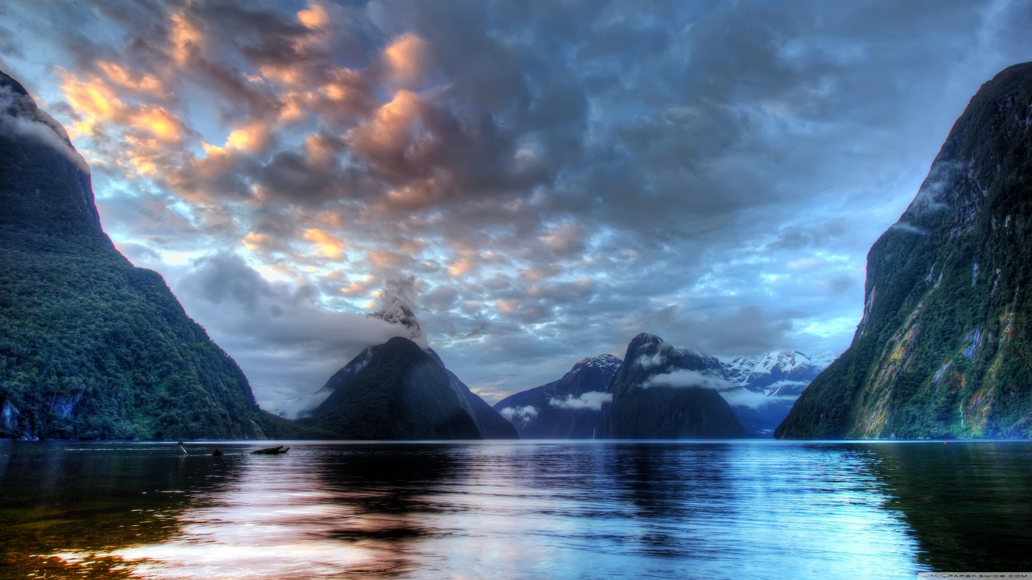 The Milky Pink Sea At Milford Sound 4K New Zealand Wallpapers