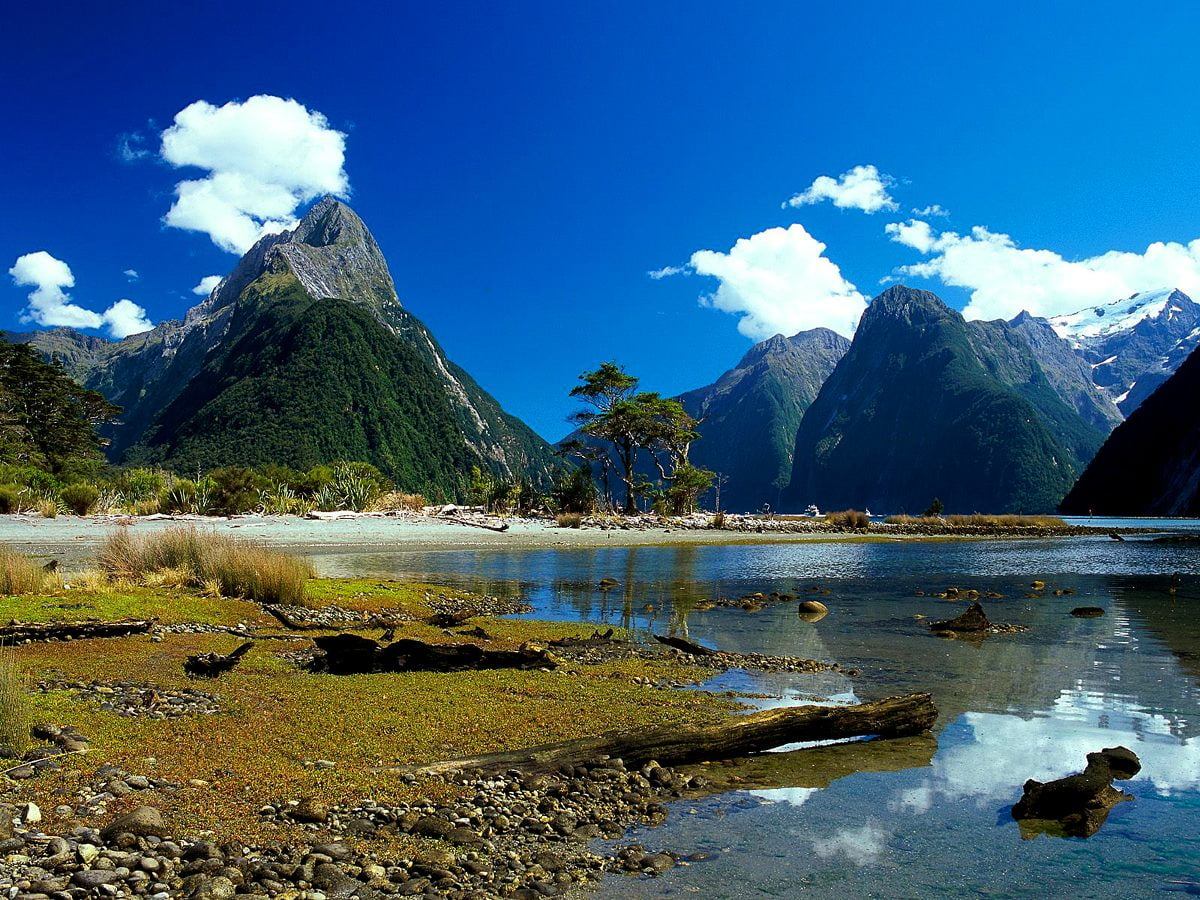 The Milky Pink Sea At Milford Sound 4K New Zealand Wallpapers