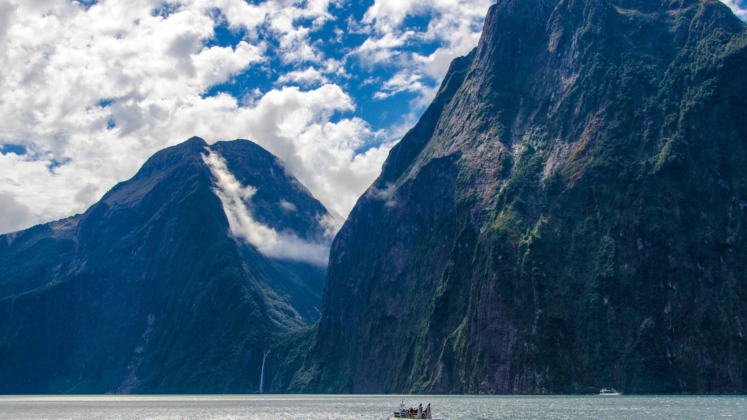 The Milky Pink Sea At Milford Sound 4K New Zealand Wallpapers