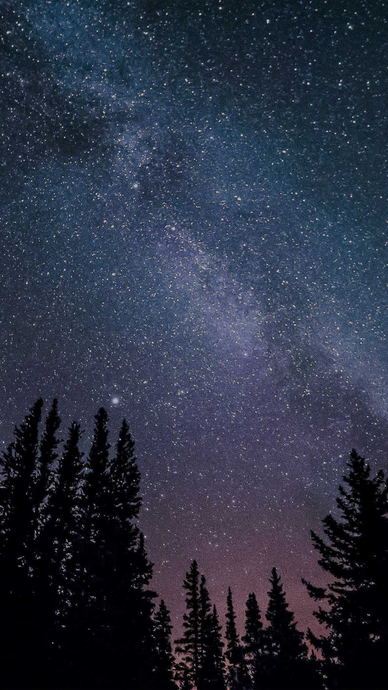 The Night Sky Wallpapers