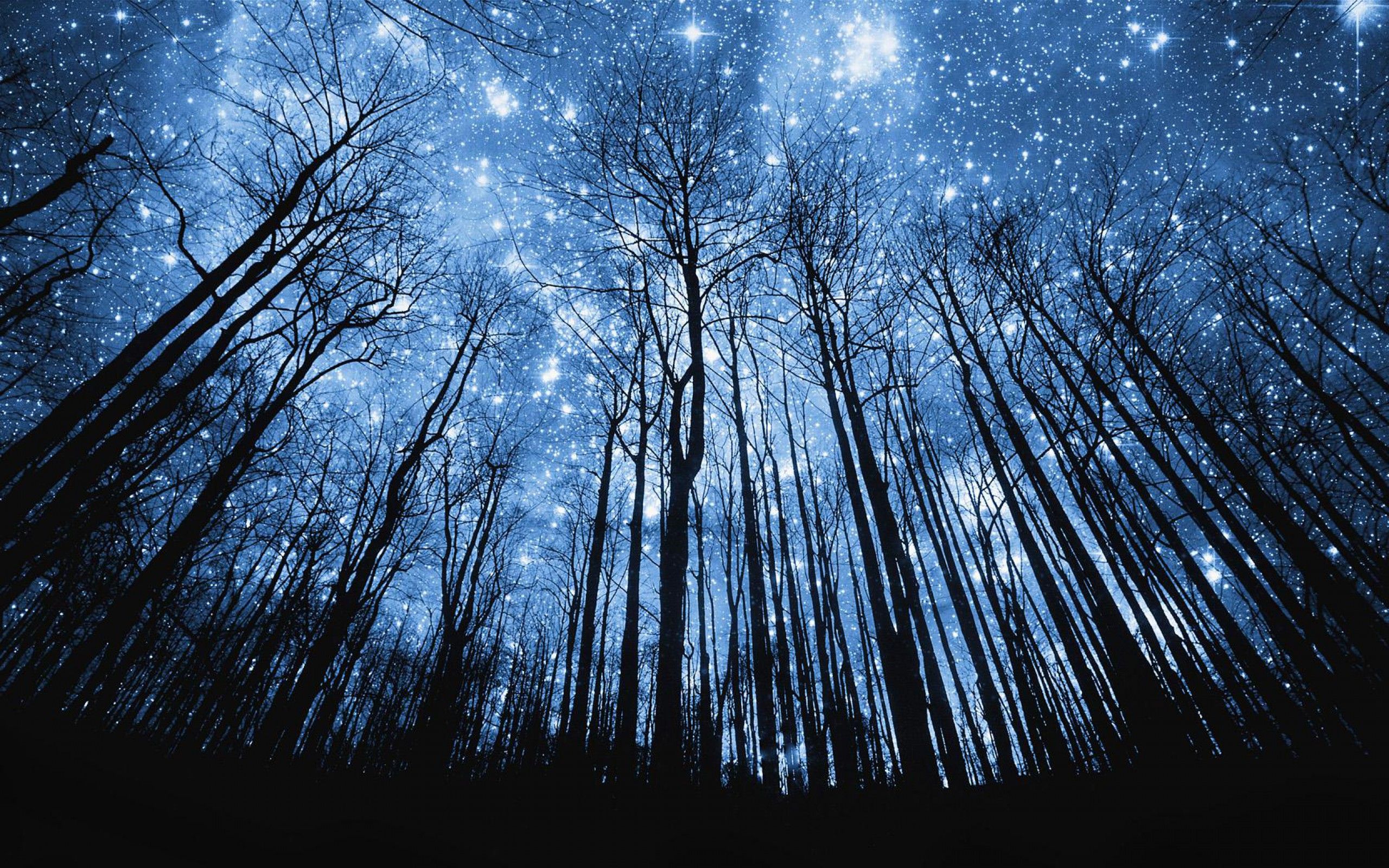 The Night Sky Wallpapers