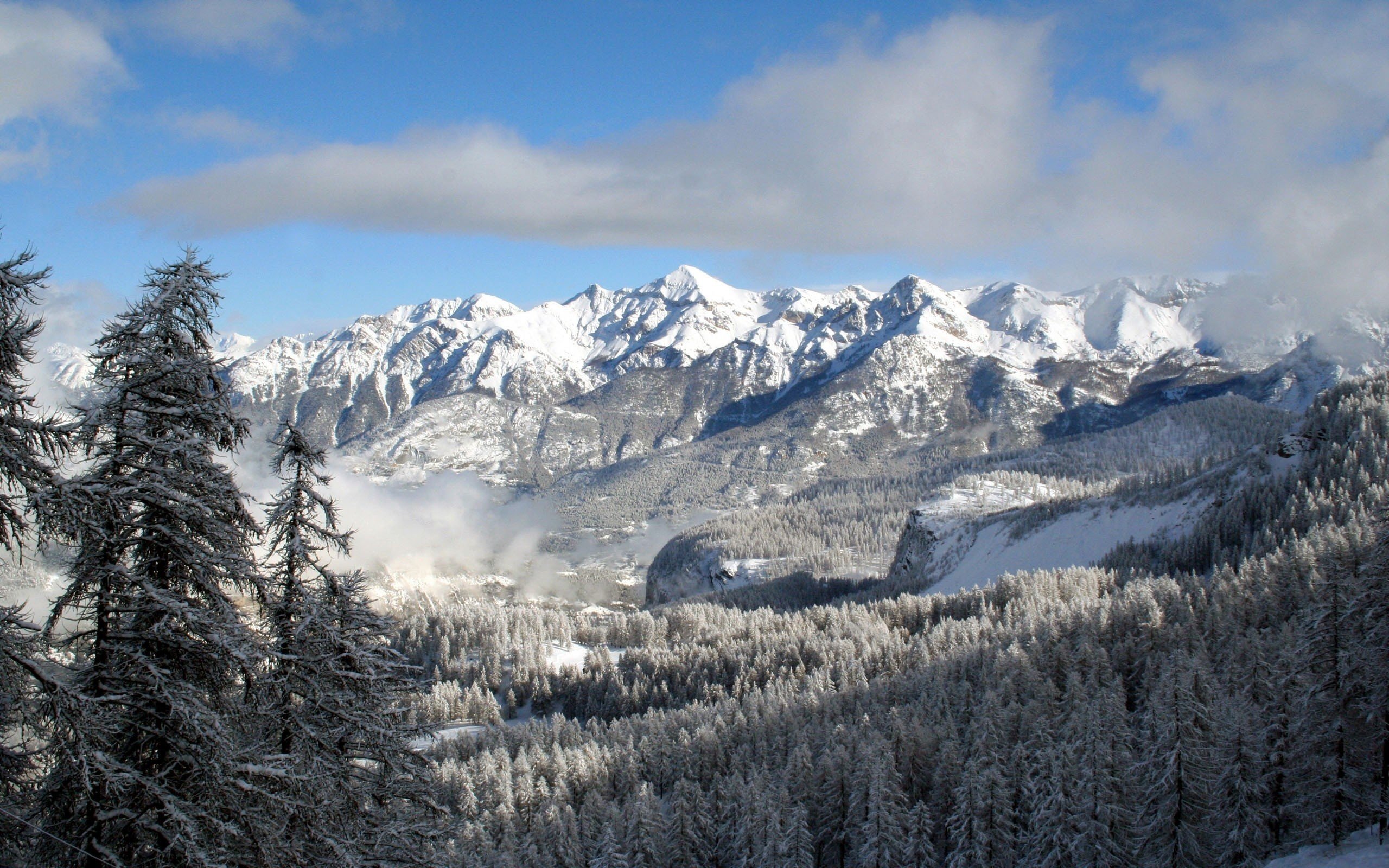 The Snowy Mountain In Forest Wallpapers