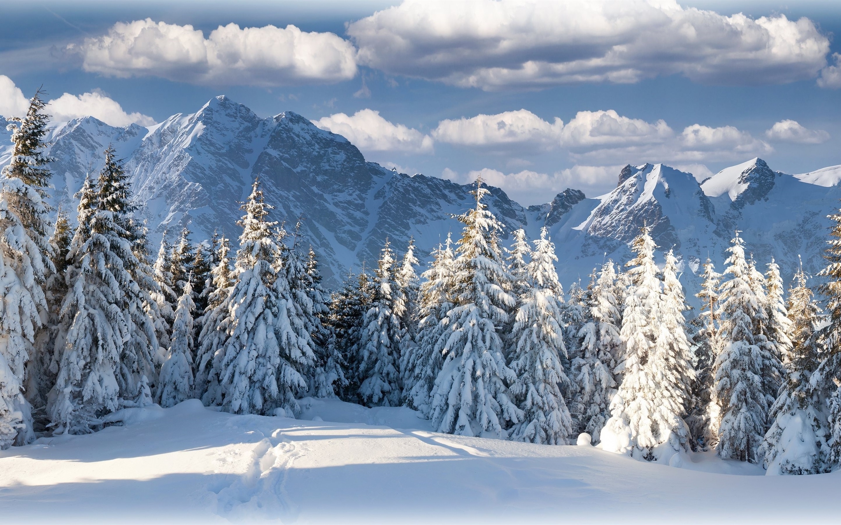 The Snowy Mountain In Forest Wallpapers