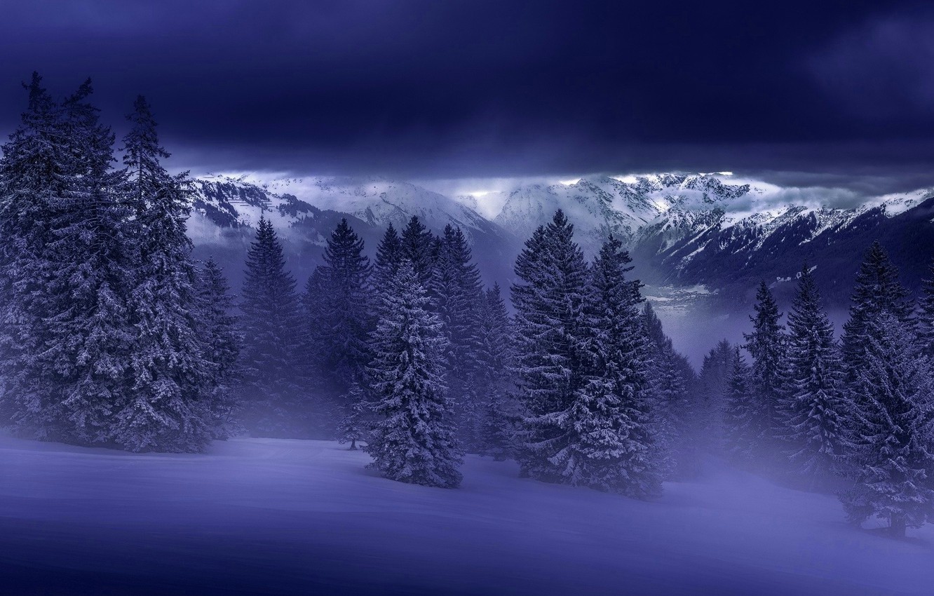 The Snowy Mountain In Forest Wallpapers