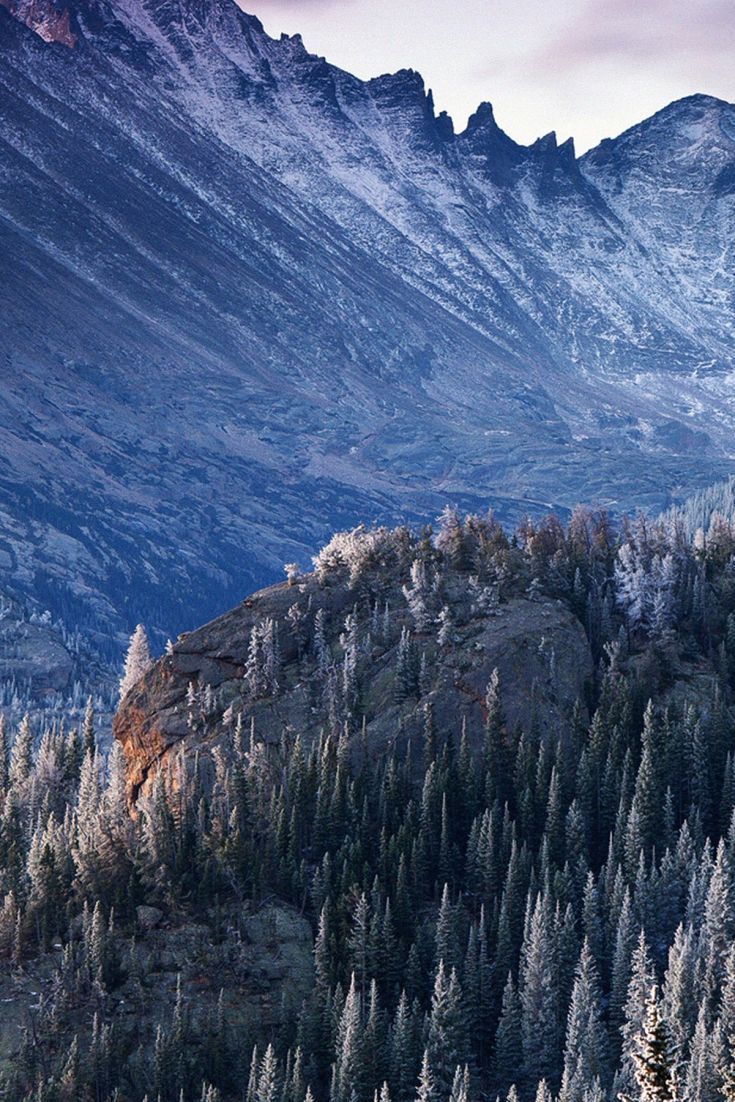 The Snowy Mountain In Forest Wallpapers