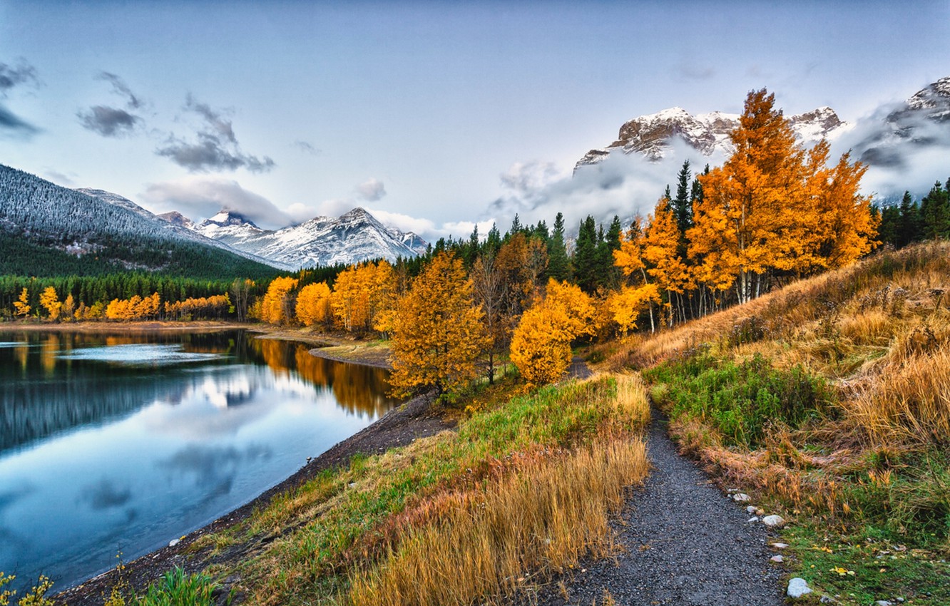 The Snowy Mountain In Forest Wallpapers