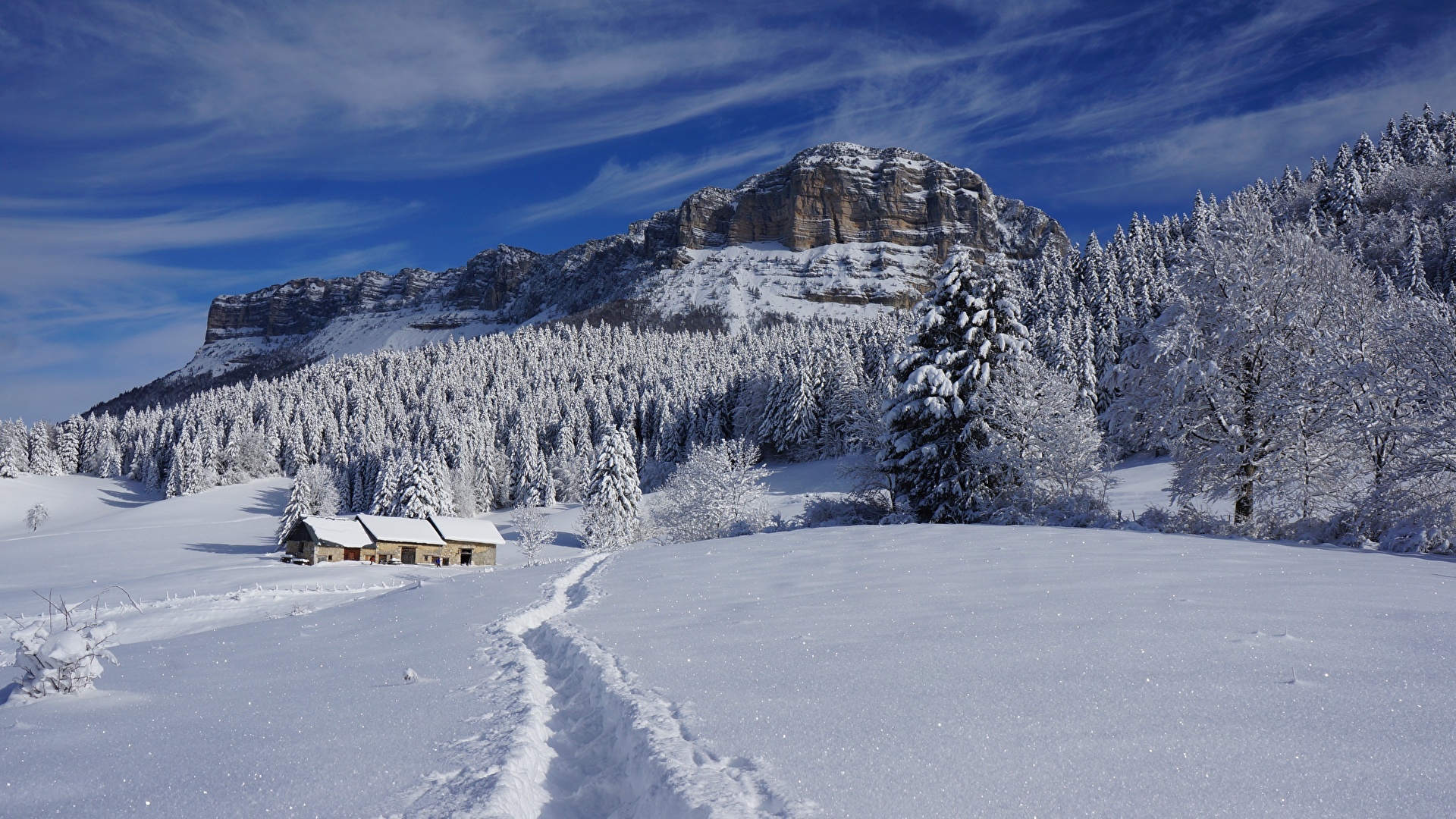 The Snowy Mountain In Forest Wallpapers