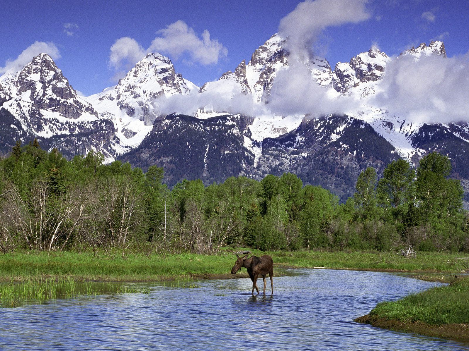 The Teton Range Wallpapers