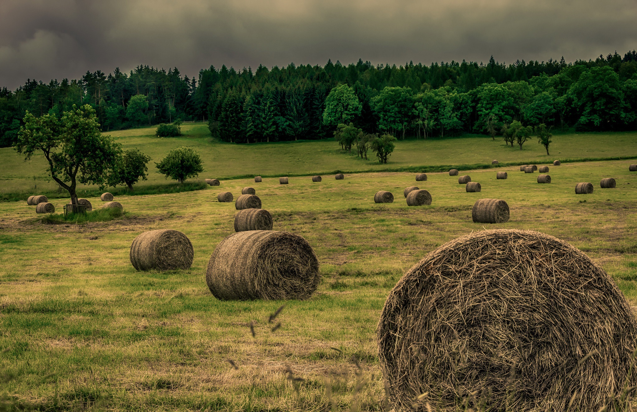 The Tree And Haystack Field Wallpapers