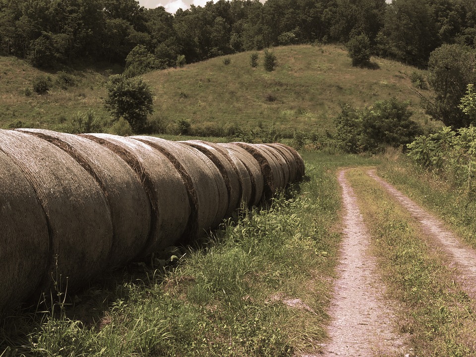 The Tree And Haystack Field Wallpapers