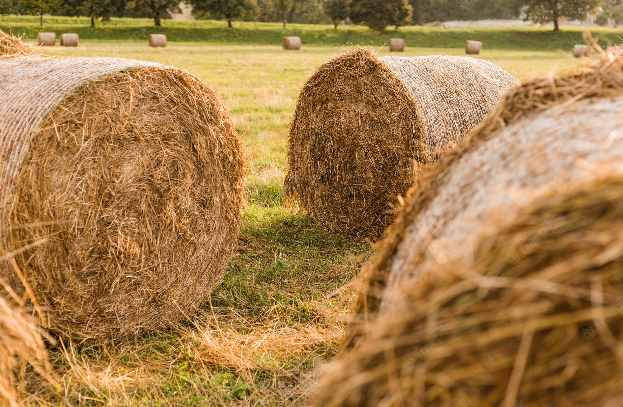 The Tree And Haystack Field Wallpapers