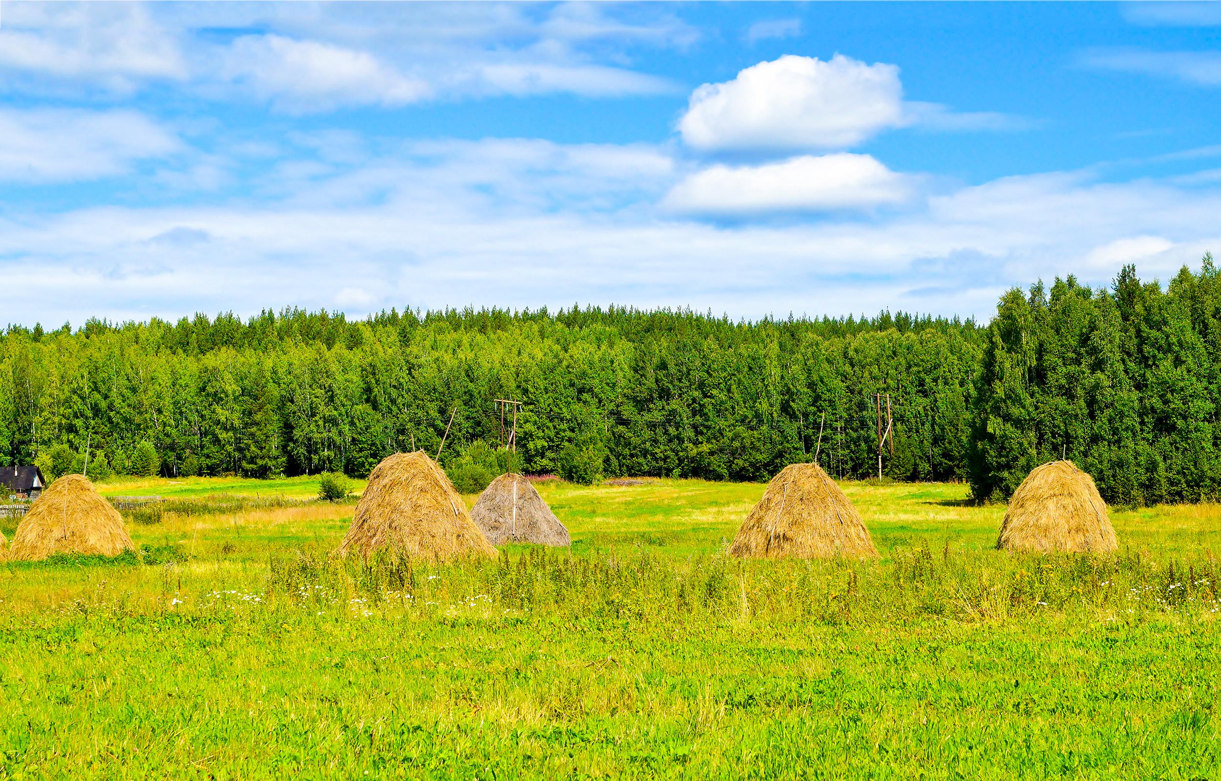 The Tree And Haystack Field Wallpapers