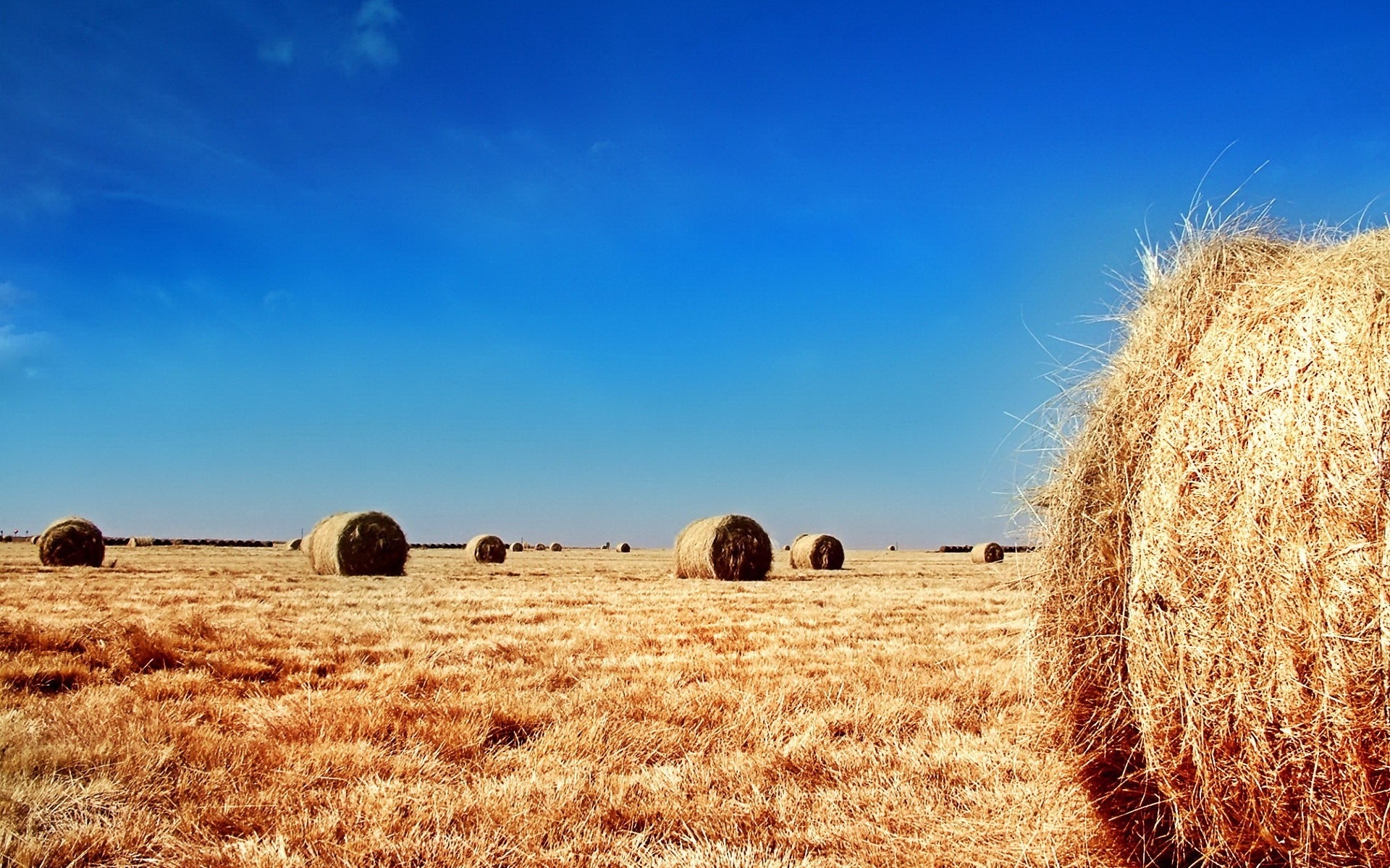 The Tree And Haystack Field Wallpapers