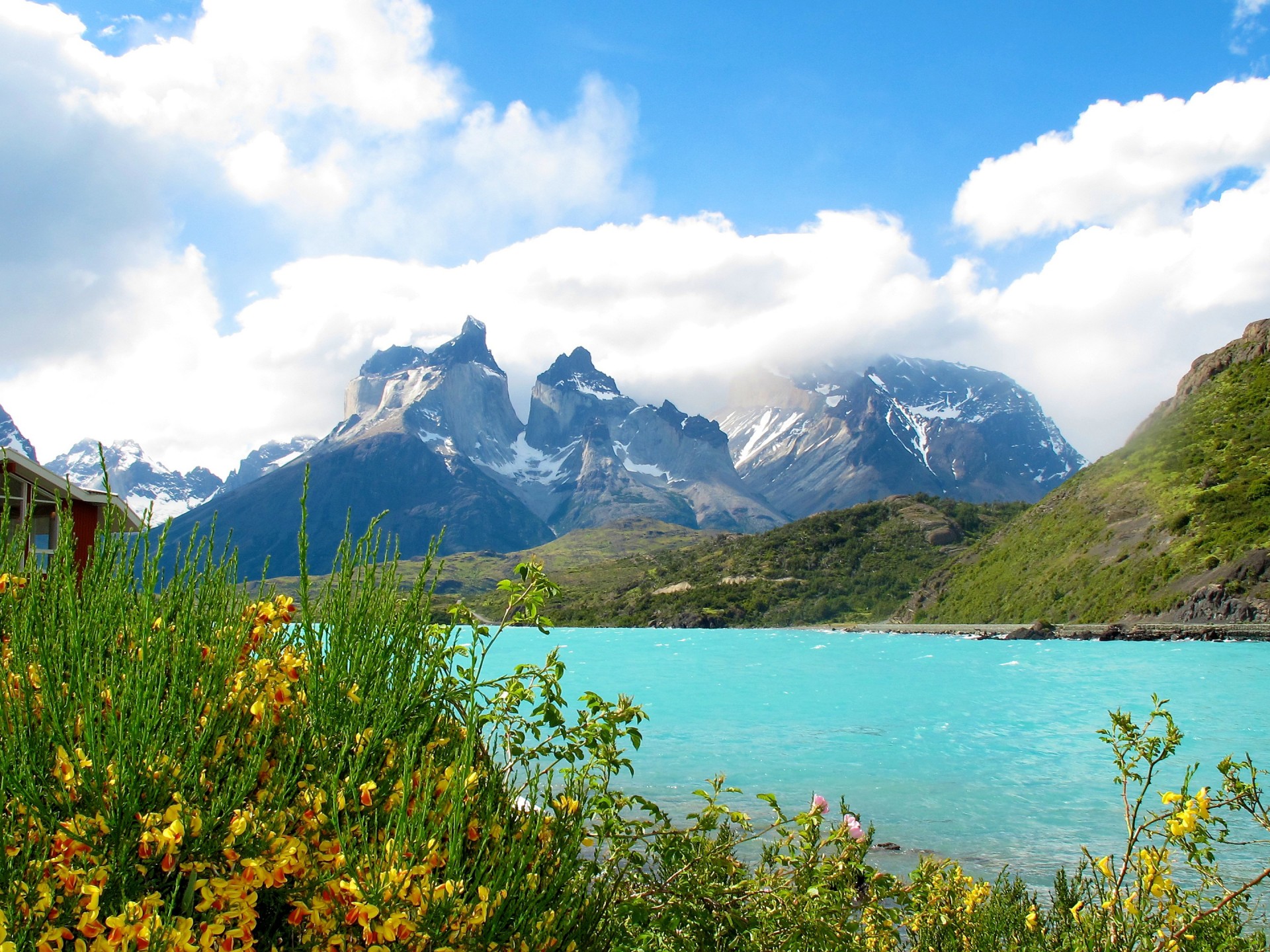 Torres Del Paine National Park Wallpapers