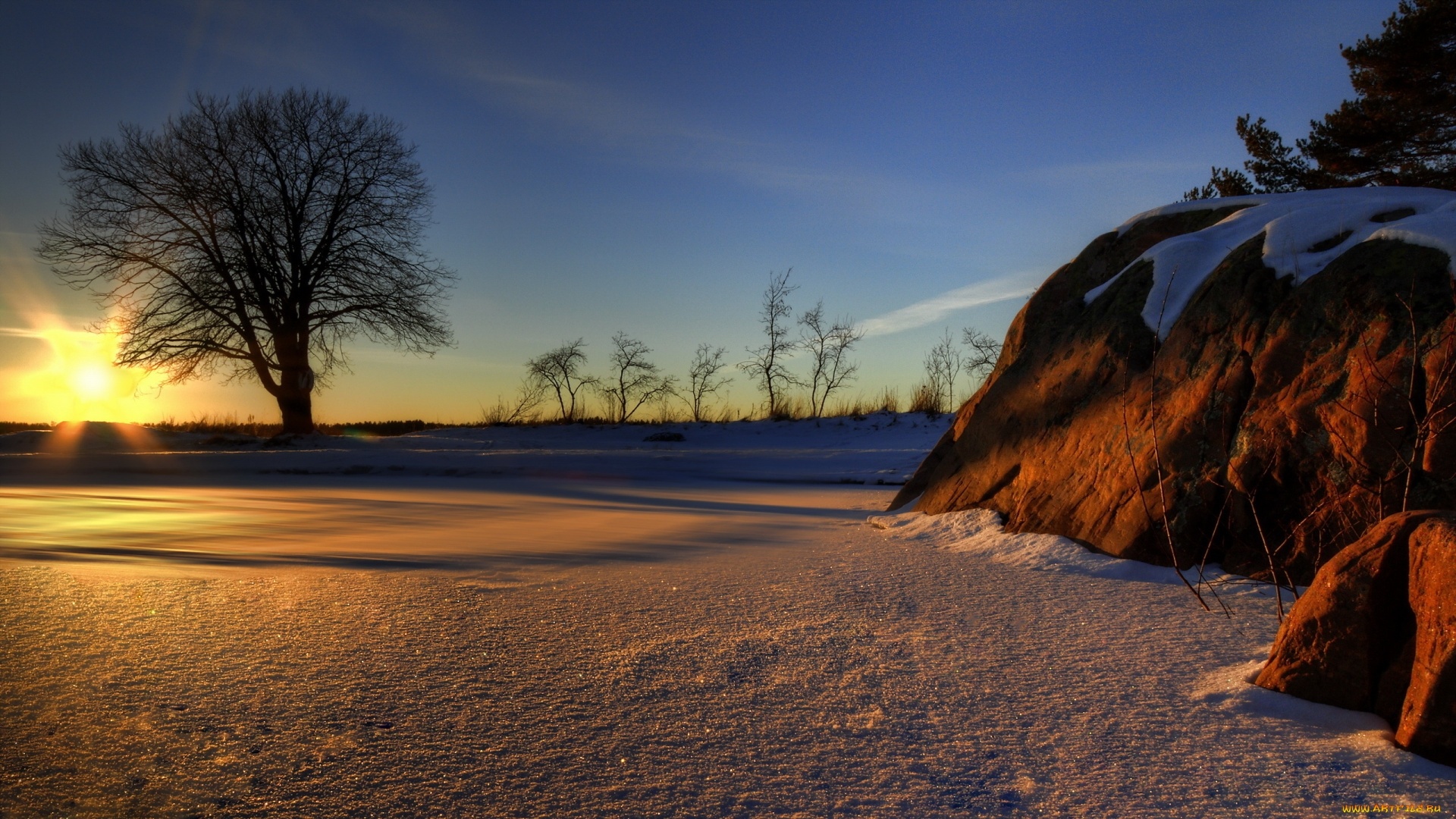 Tree In Snow Winter Sunset Wallpapers