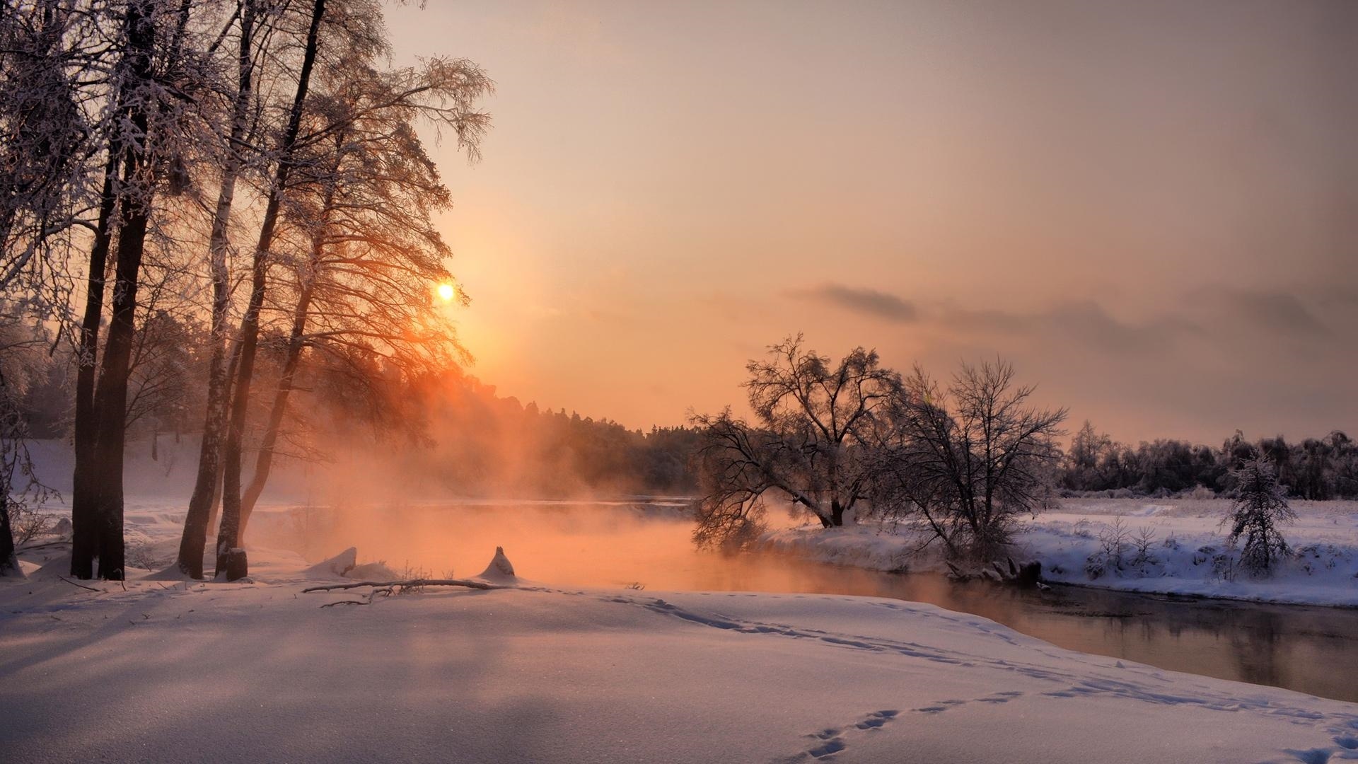 Tree In Snow Winter Sunset Wallpapers