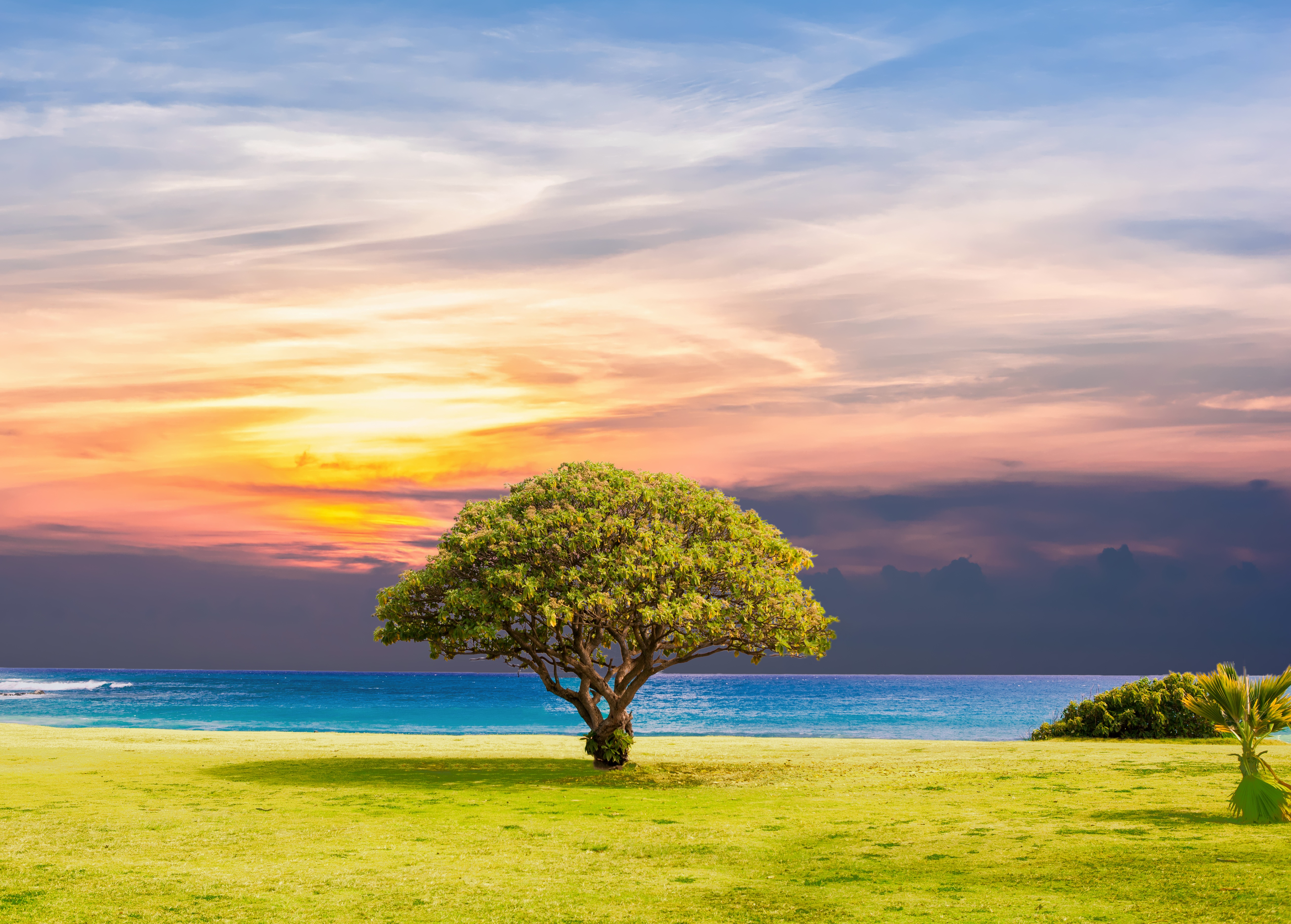 Tree Landscape Wallpapers