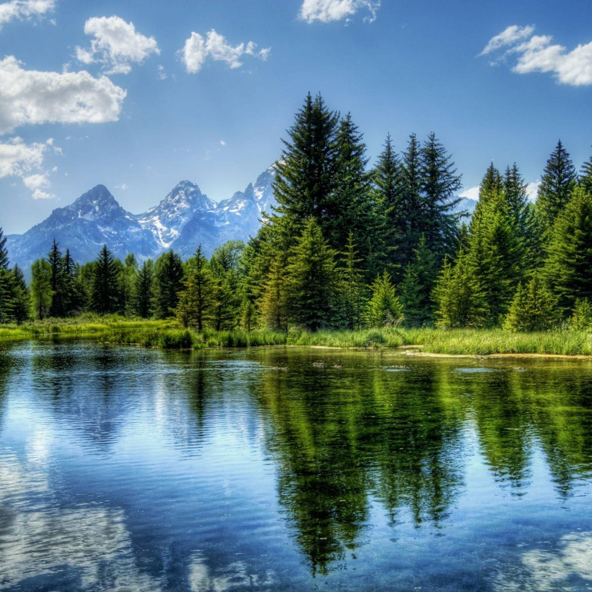 Tree Reflection In Lake Wallpapers