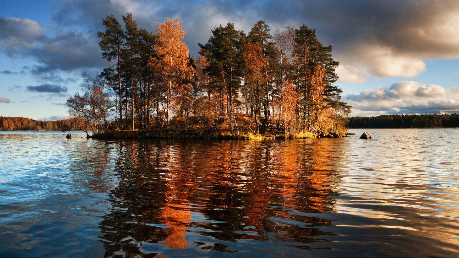 Tree Reflection In Lake Wallpapers