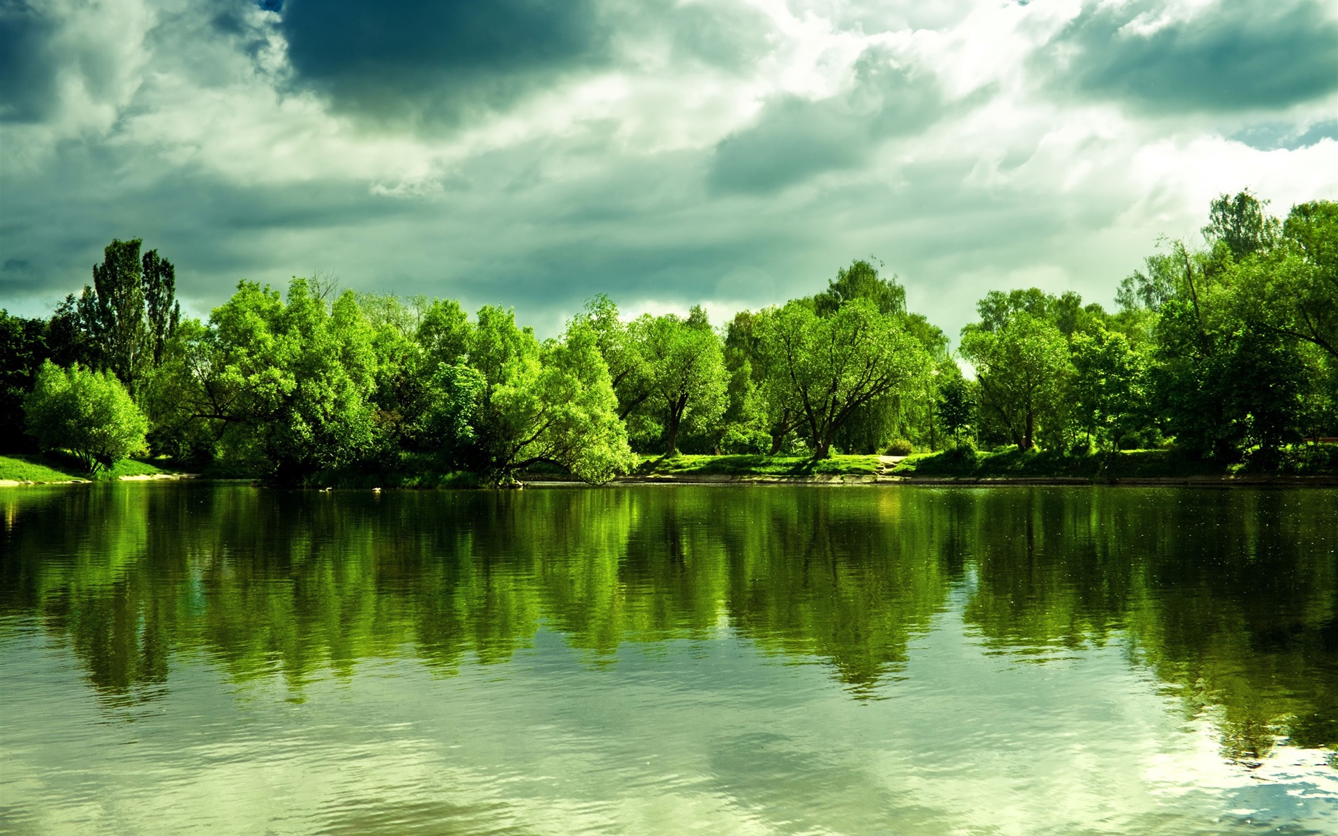 Tree Reflection In Lake Wallpapers