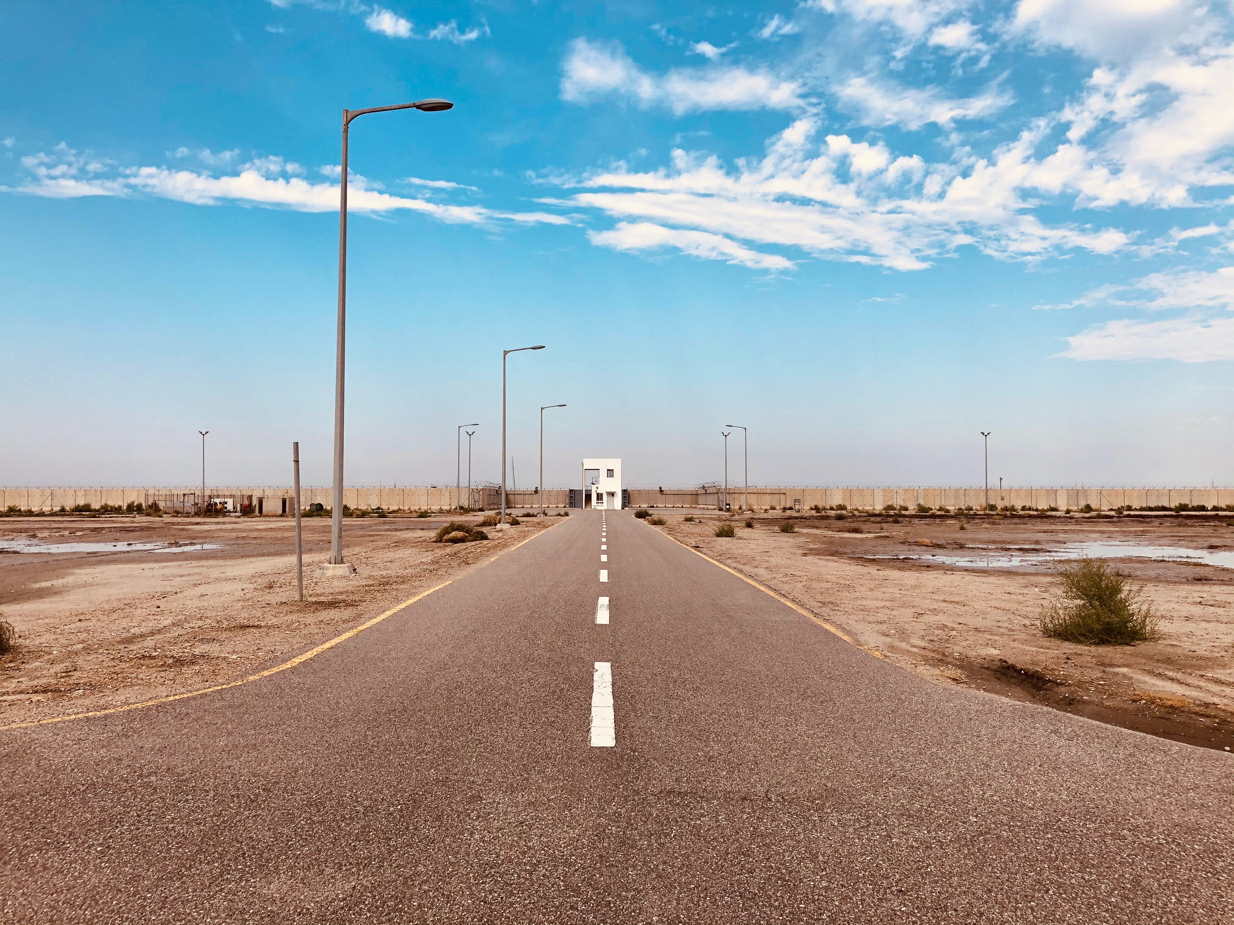 Tree-Lined Empty Road Wallpapers