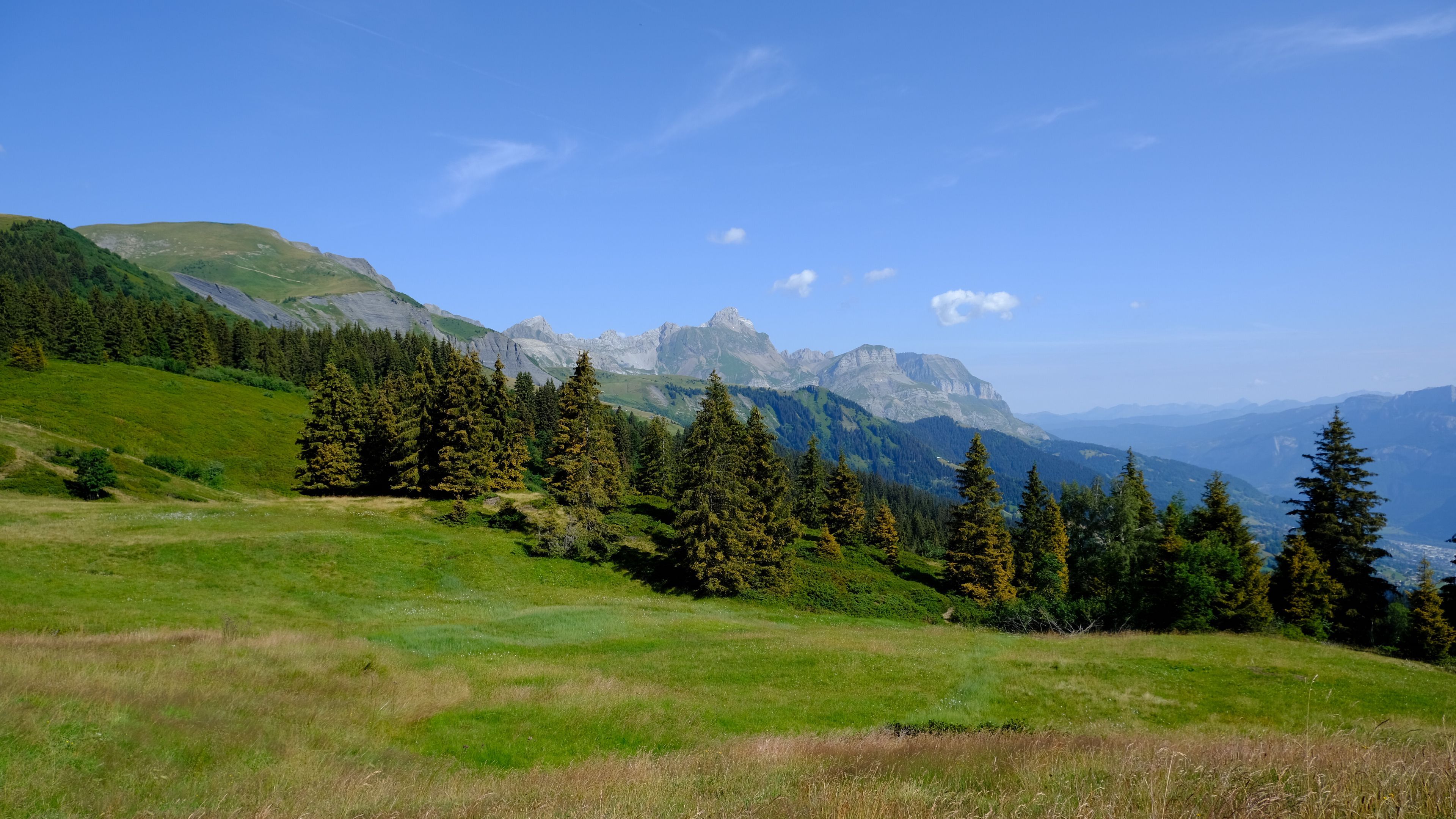 Trees Grass In Fall Bleak Mountains Wallpapers