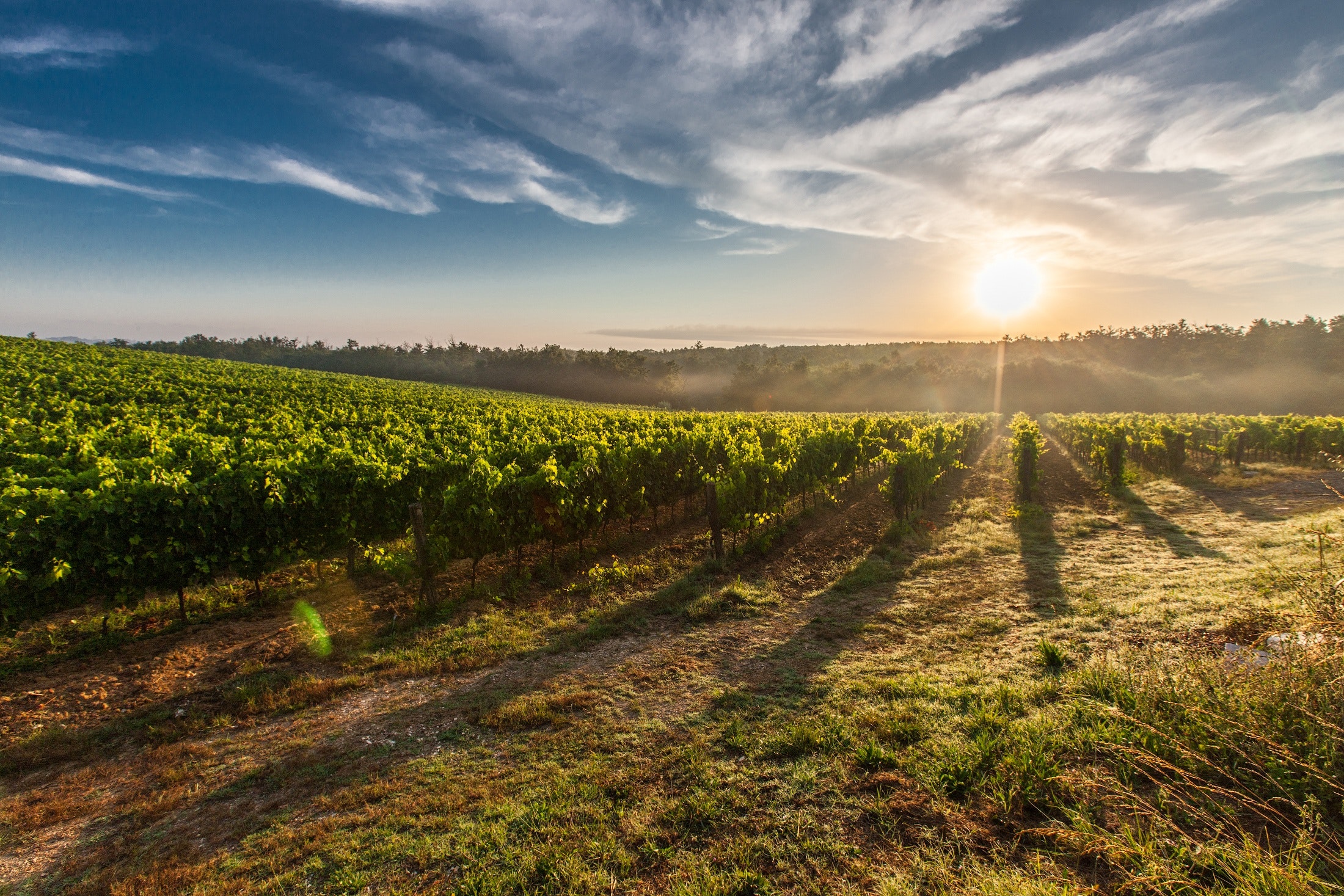 Tuscany Photography Wallpapers