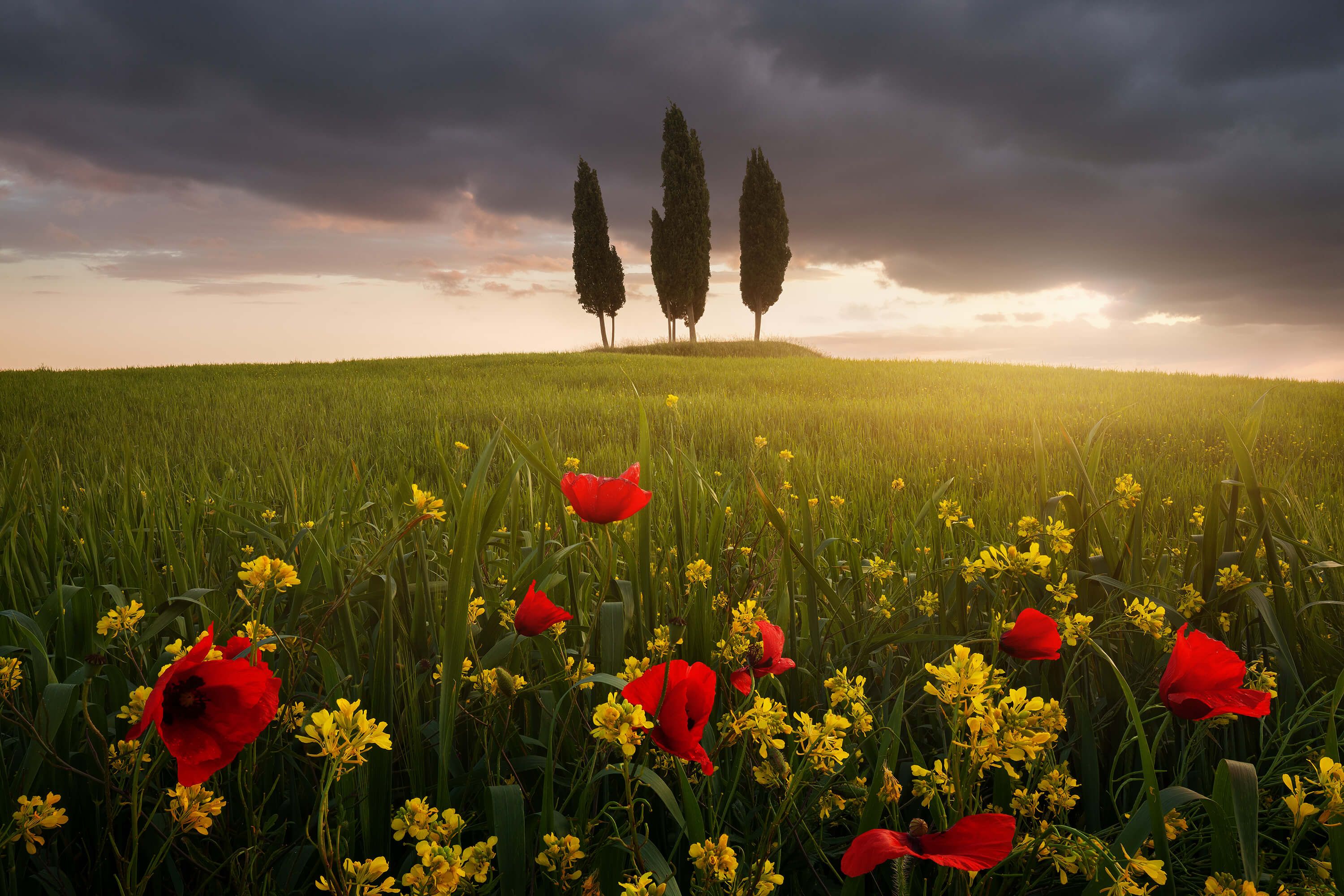 Tuscany Photography Wallpapers