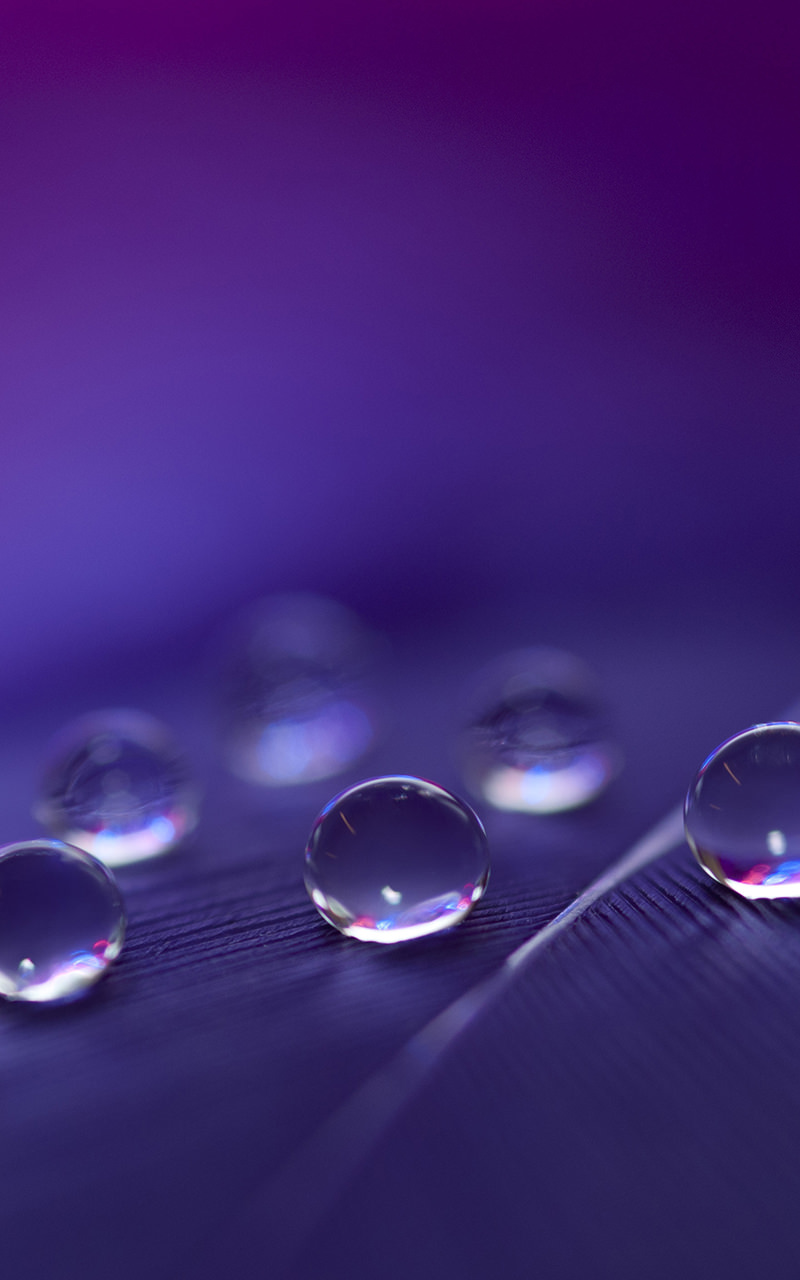 Water Drop Wallpapers